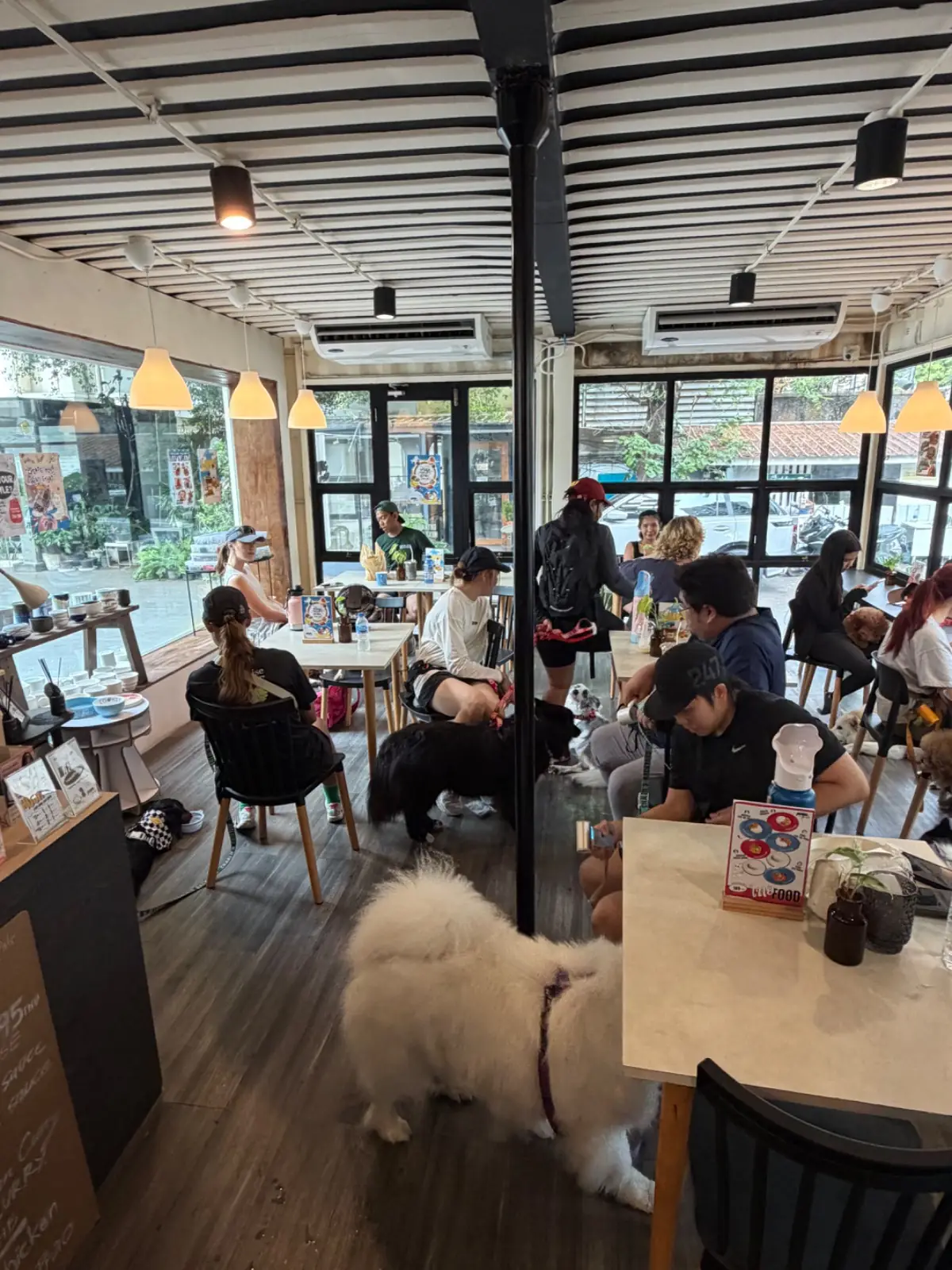 Peeps and Pals overall image 1