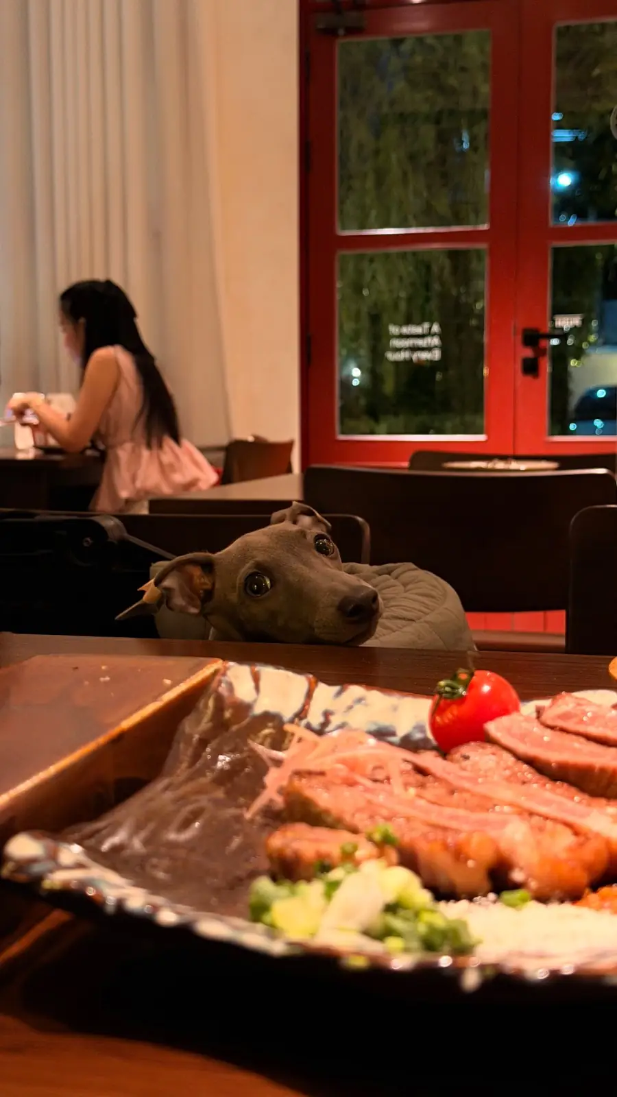 Arvie pets image 2