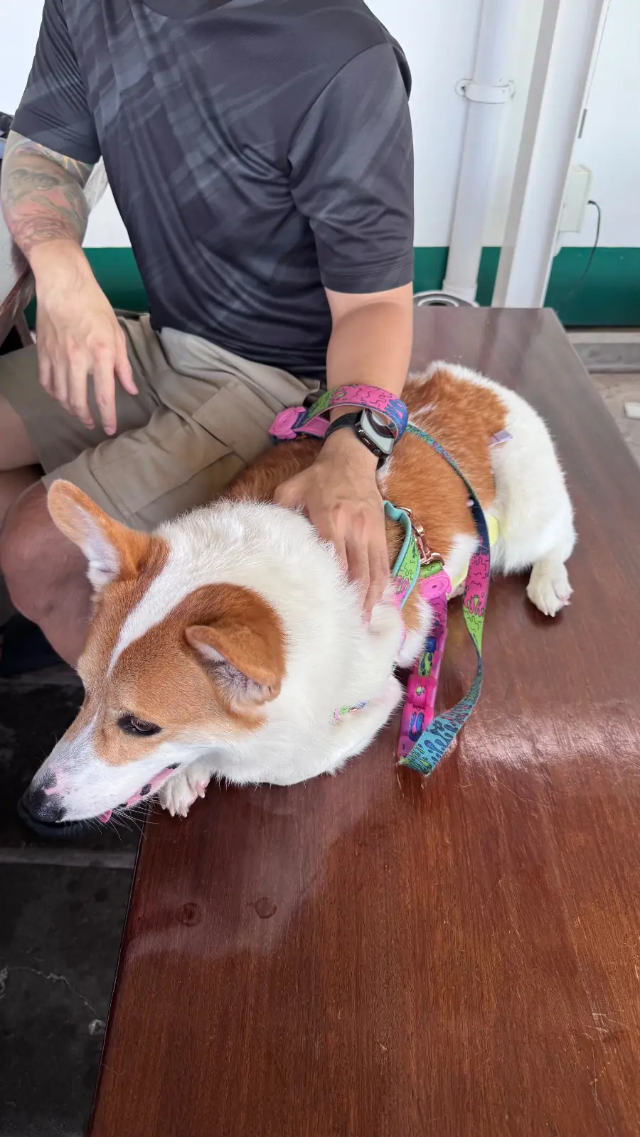 บ้านอิสระ pets image 3