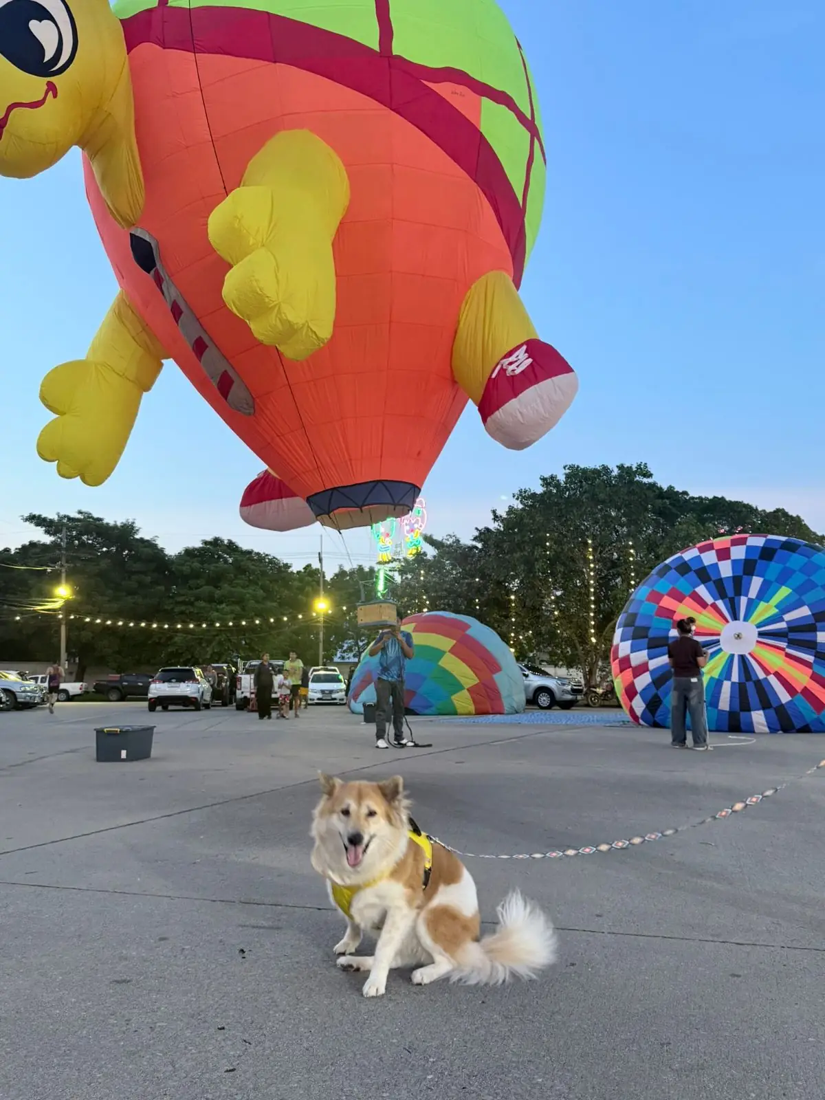 สนามกีฬากองทัพอากาศ ธูปะเตมีย์ pets image 4