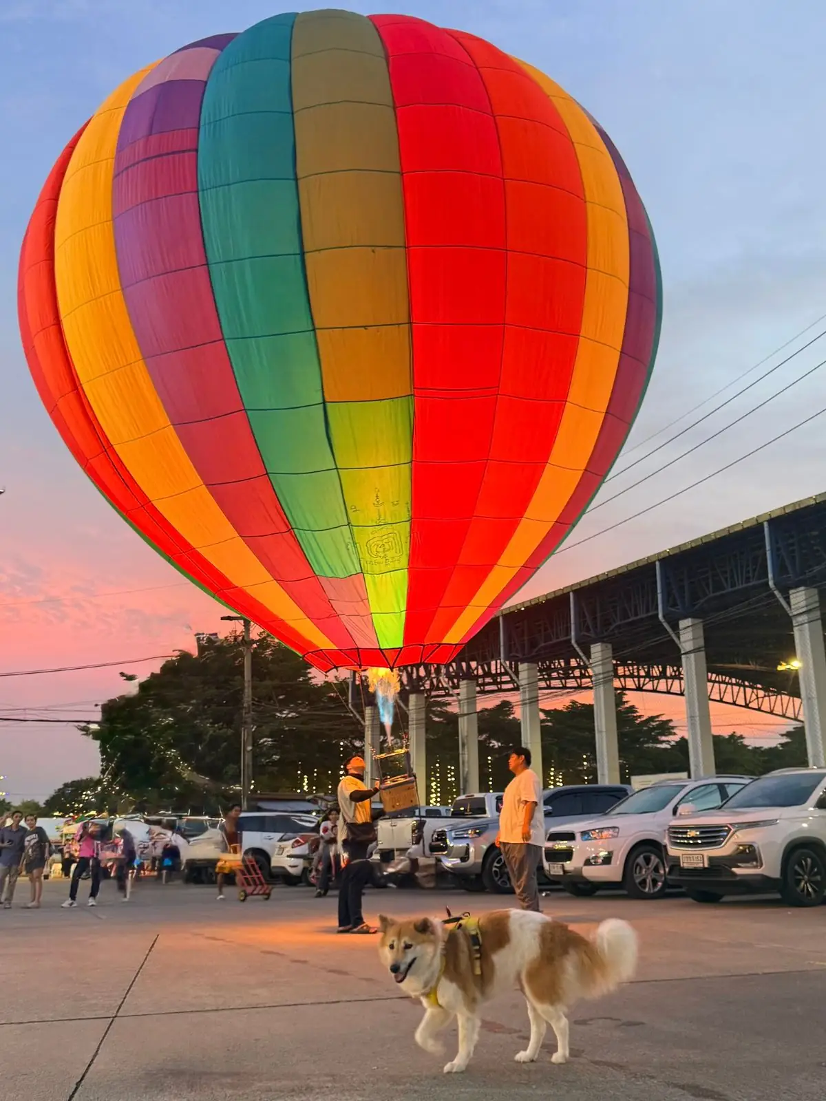 สนามกีฬากองทัพอากาศ ธูปะเตมีย์ pets image 1