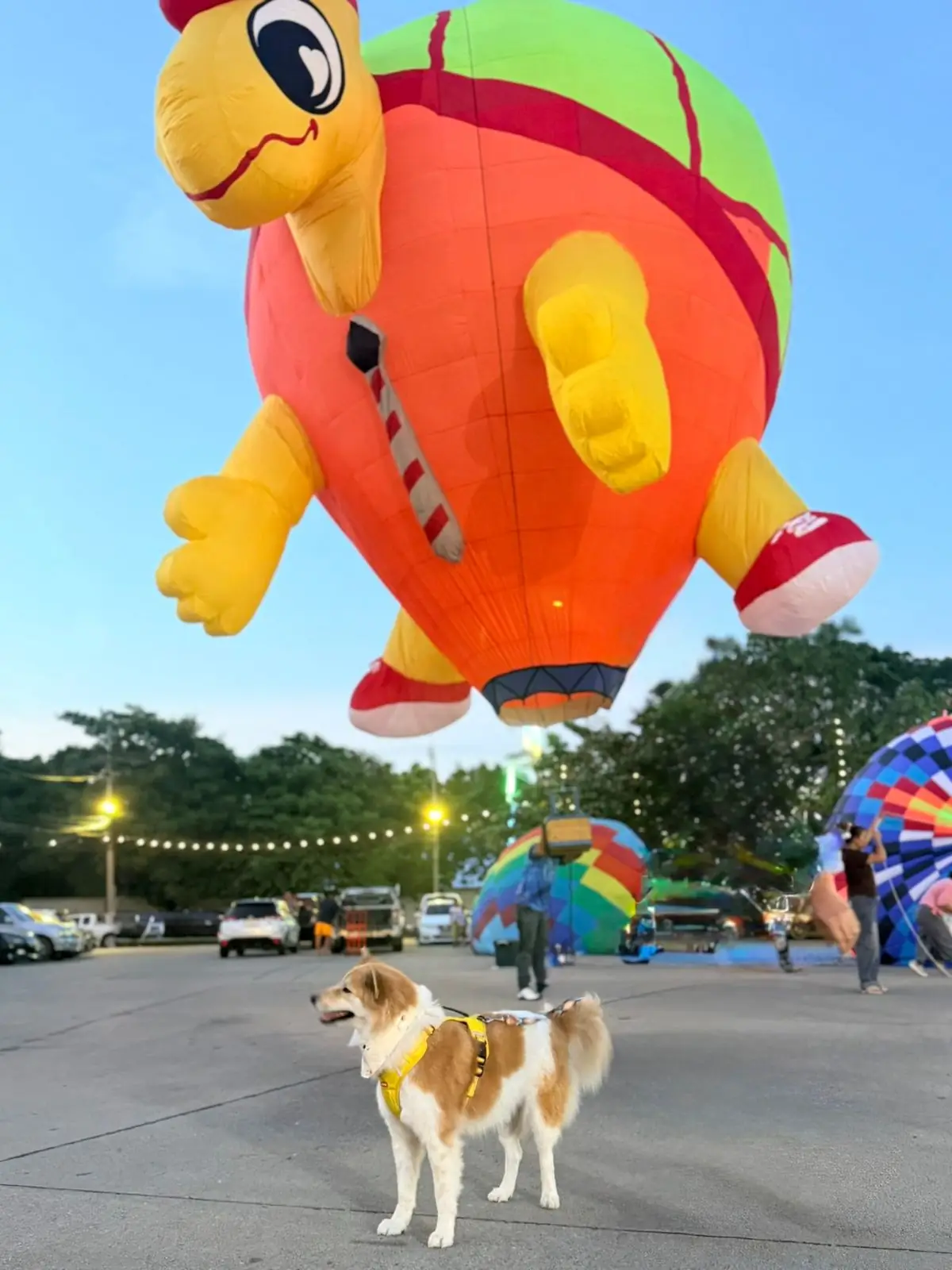 สนามกีฬากองทัพอากาศ ธูปะเตมีย์ pets image 3