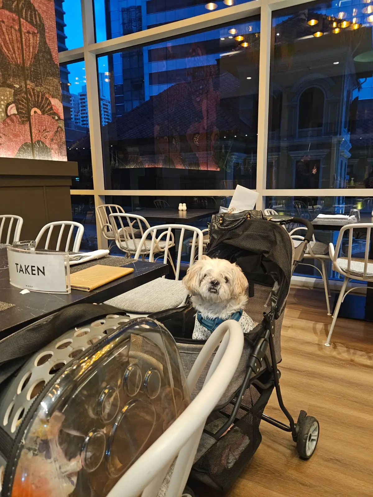 The Kitchen Table pets image 1