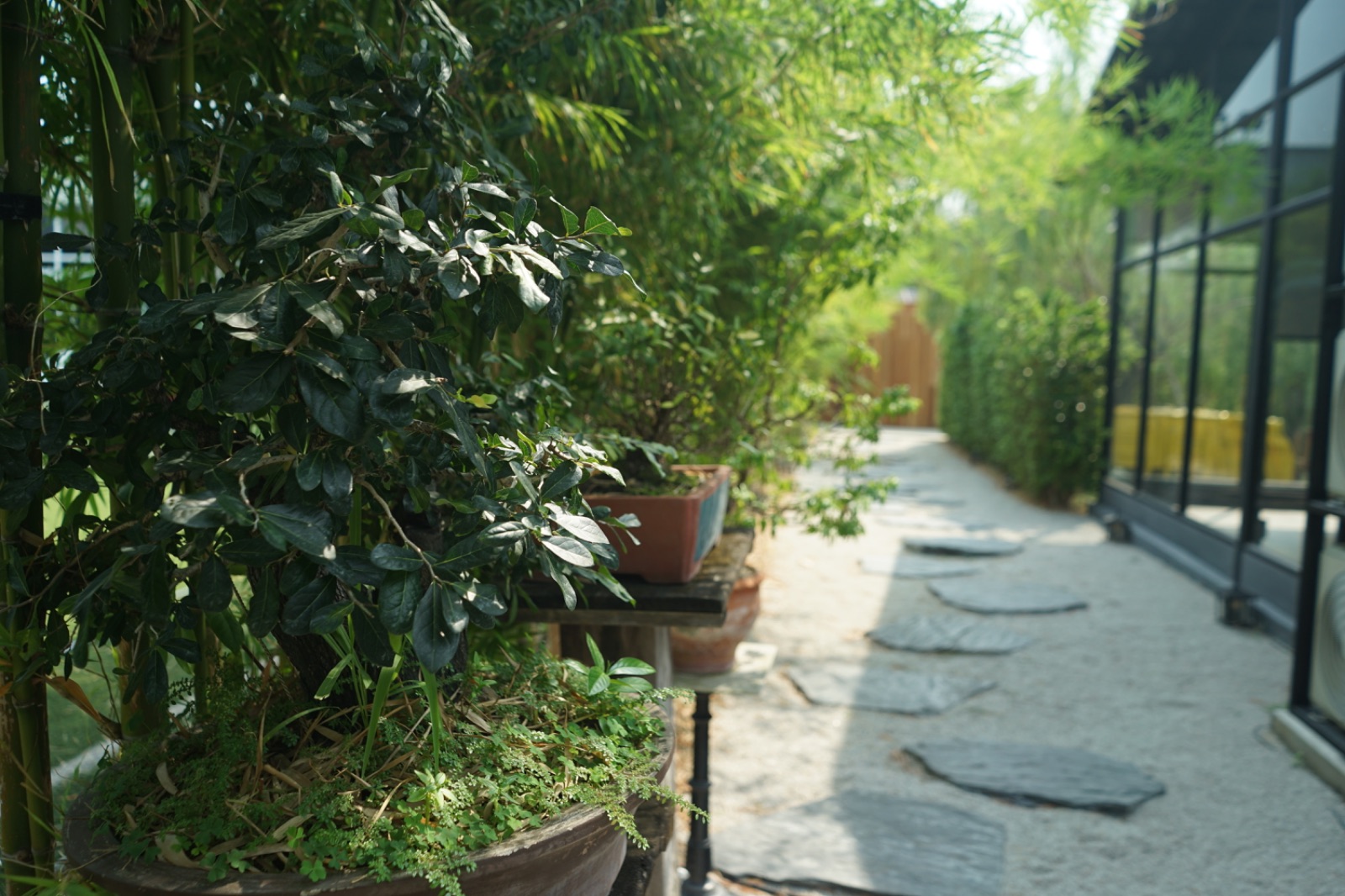 MADOKA SUMIBI IZAKAYA ambiance image 13