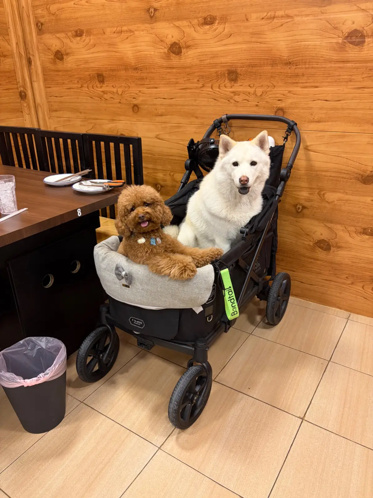 Taekang Korean BBQ pets image 1