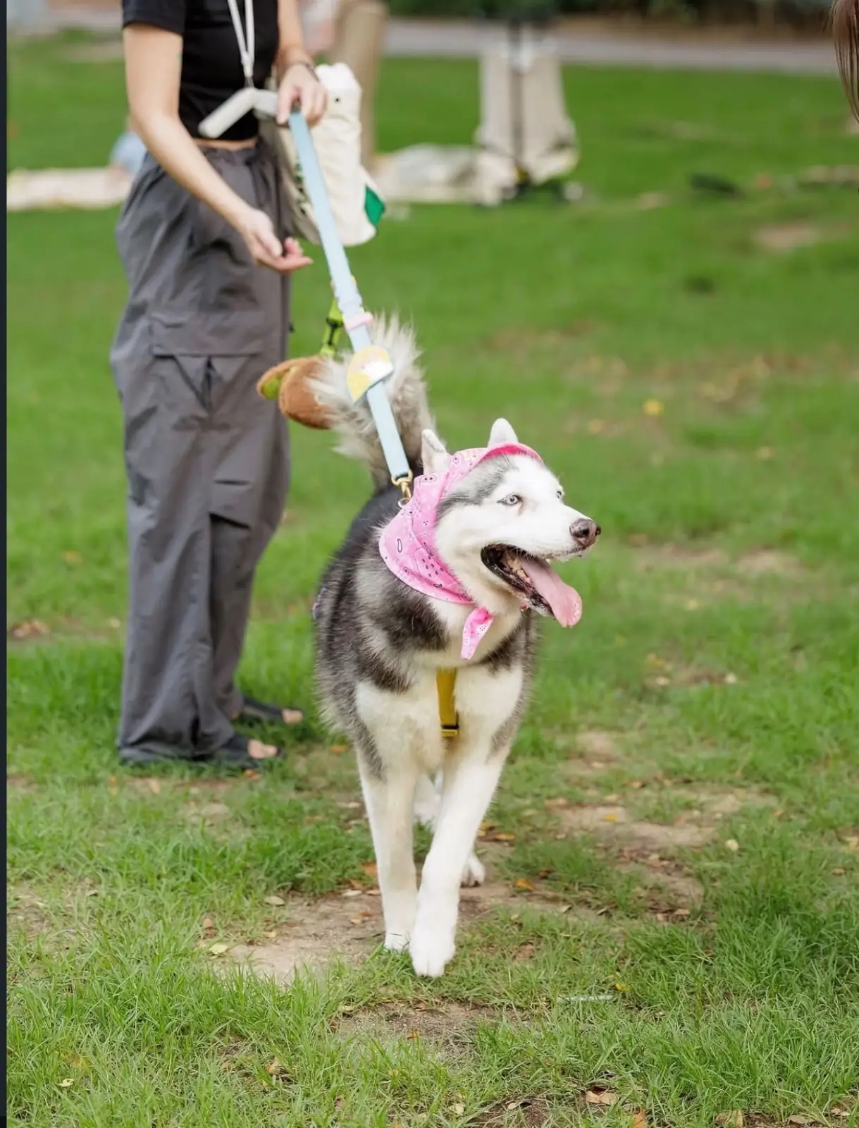 อุทยาน 100 ปี จุฬาลงกรณ์มหาวิทยาลัย pets image 4