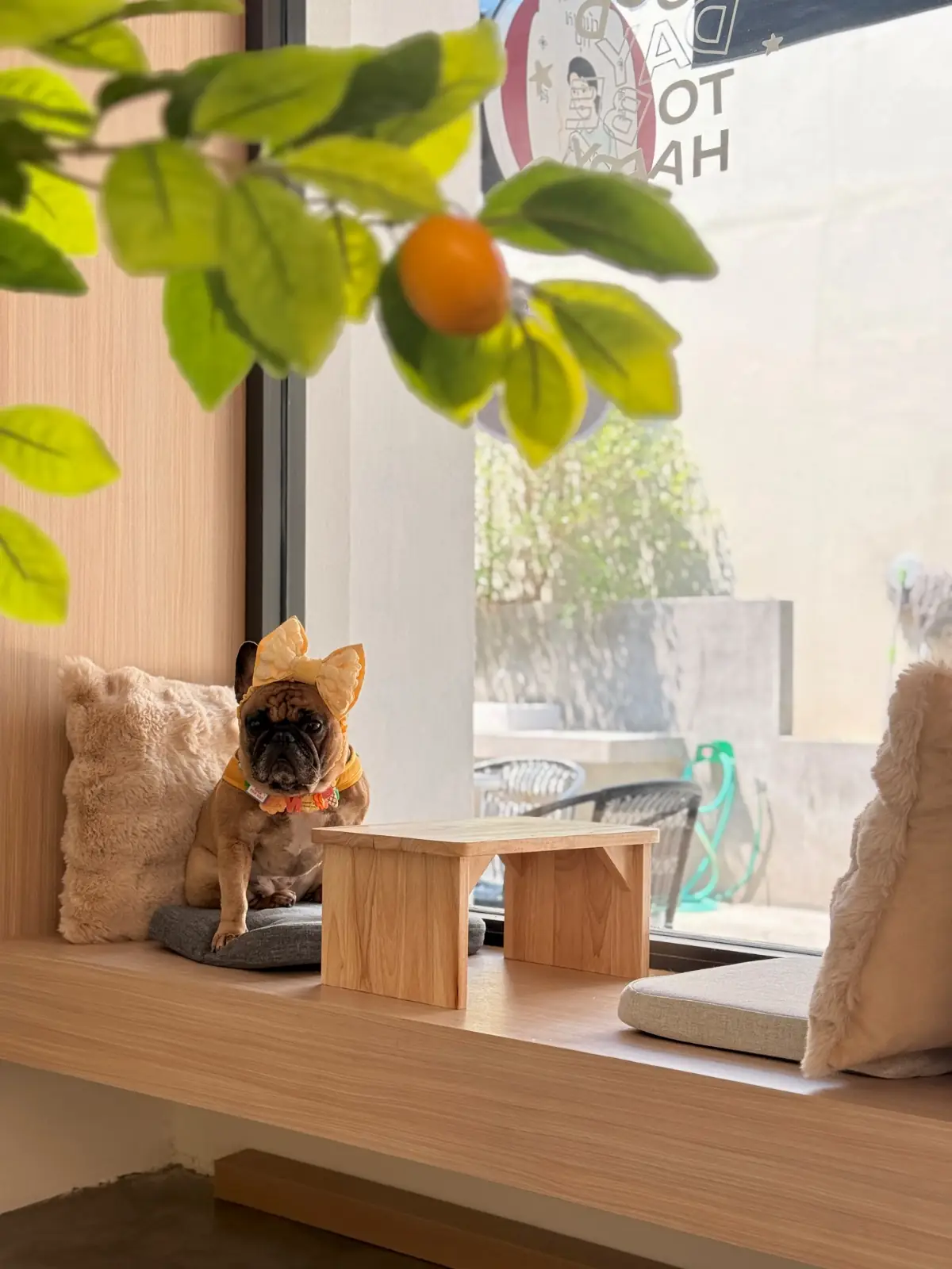 Coffee PRN specialty - Thonglor pet hospital pets image 3