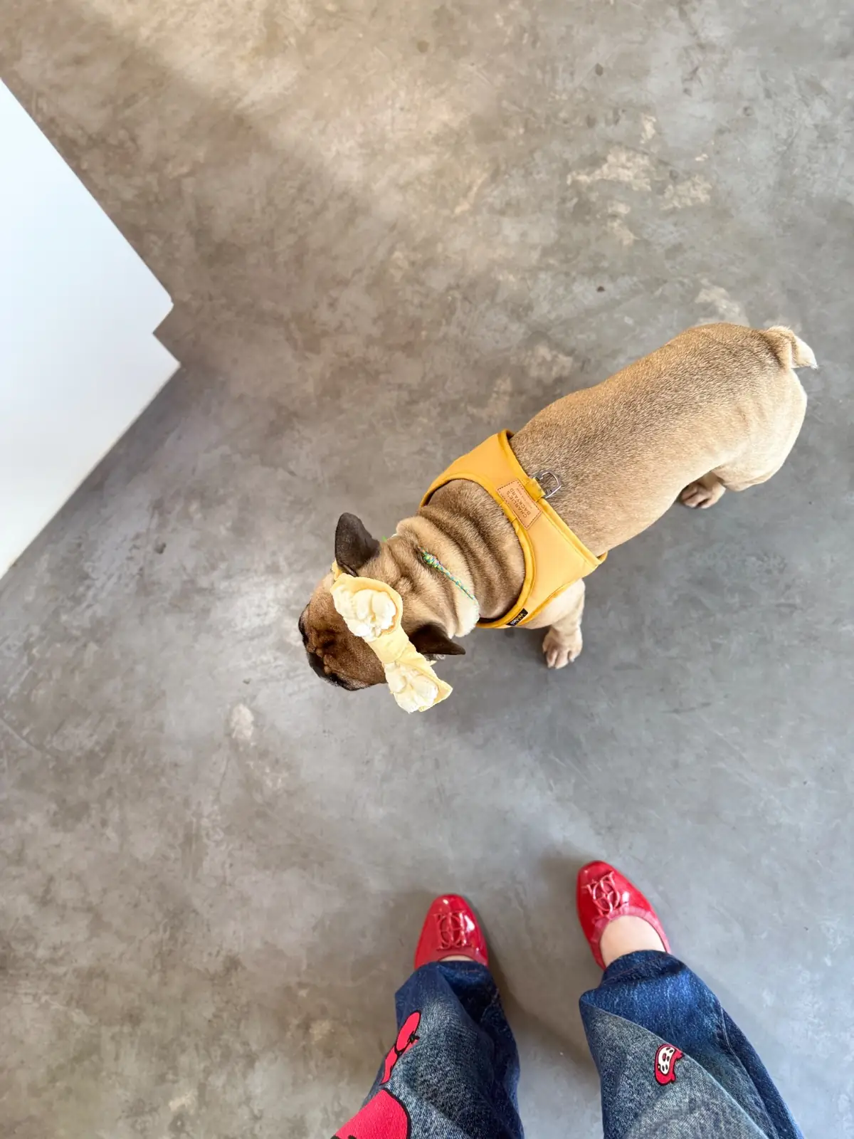 Coffee PRN specialty - Thonglor pet hospital pets image 6