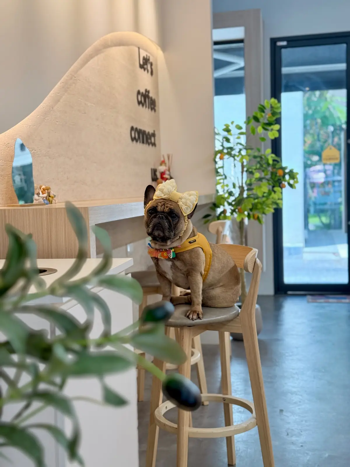 Coffee PRN specialty - Thonglor pet hospital pets image 1