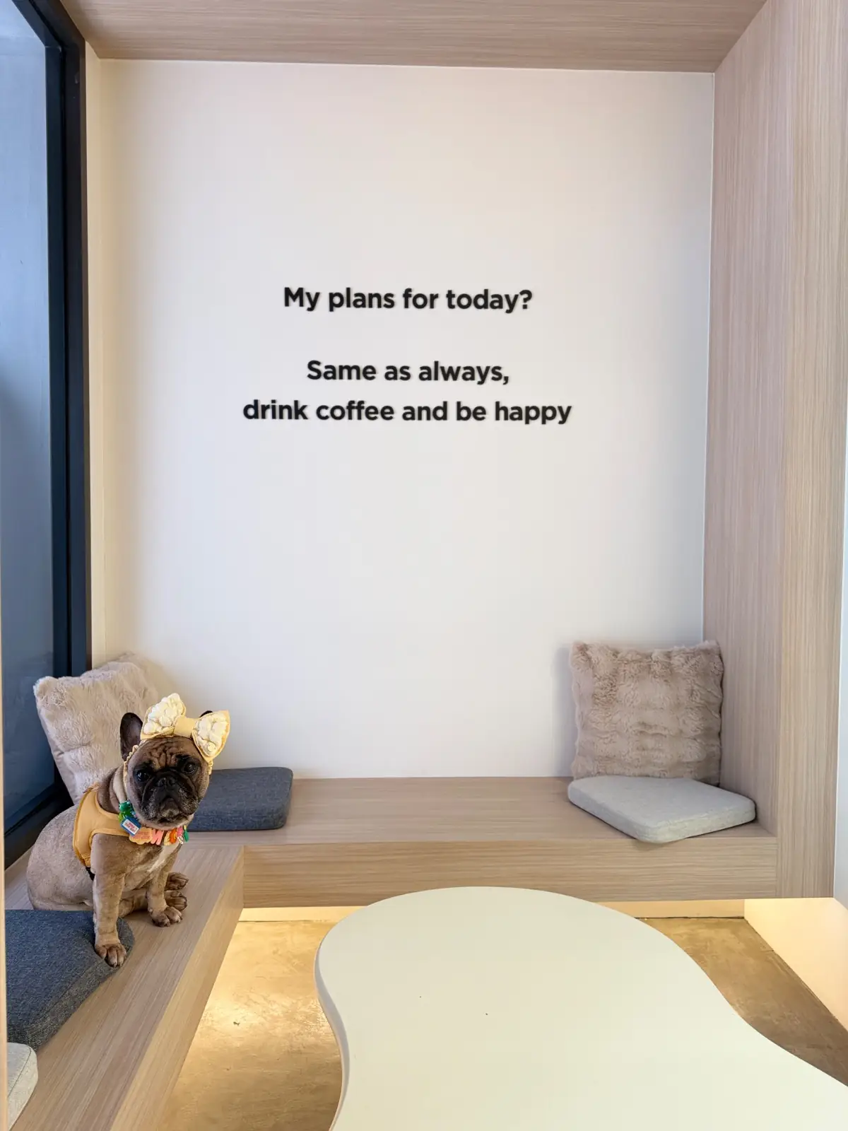 Coffee PRN specialty - Thonglor pet hospital pets image 2