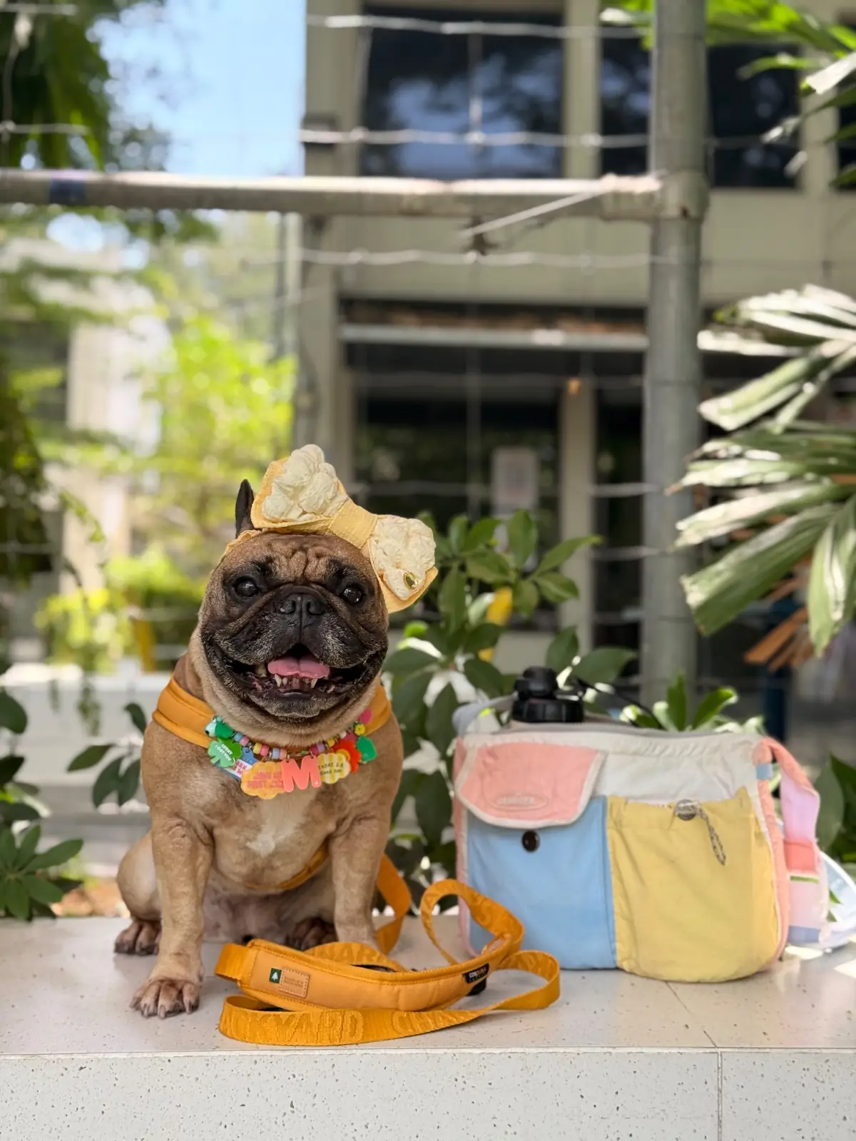 Coffee PRN specialty - Thonglor pet hospital pets image 4