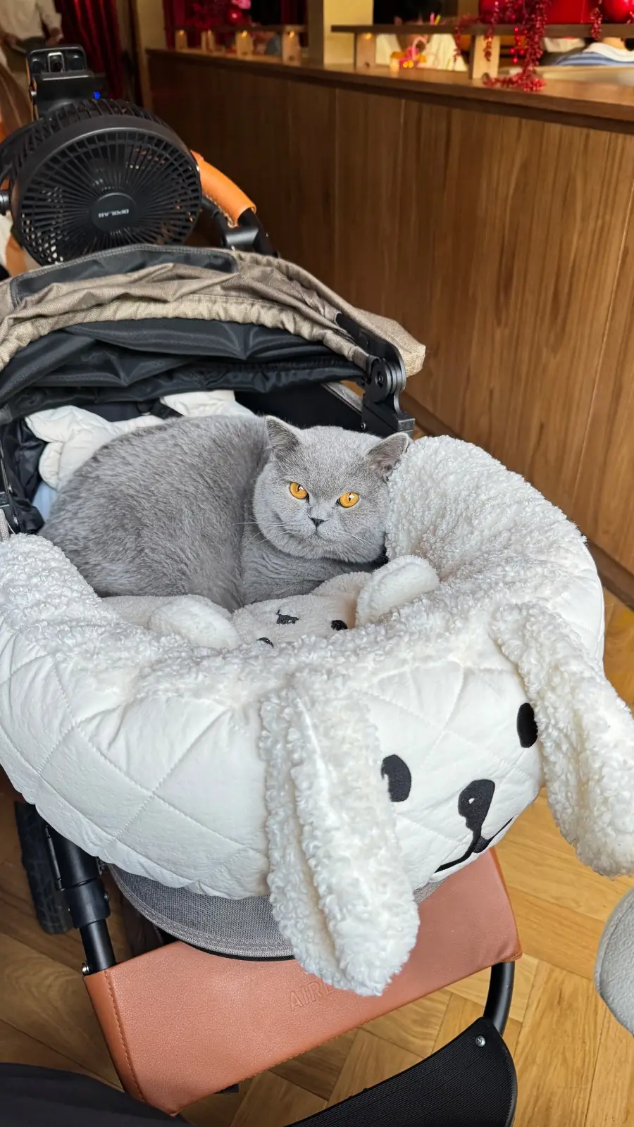 Brooks Brunch & Bar - Ari pets image 1