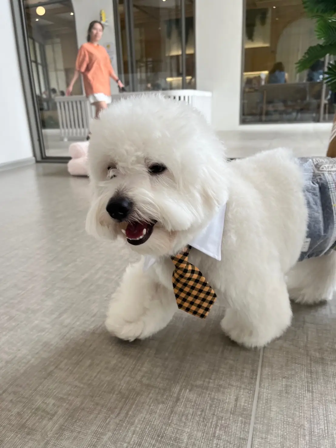 ไฮด์โดะฮับ pets image 24
