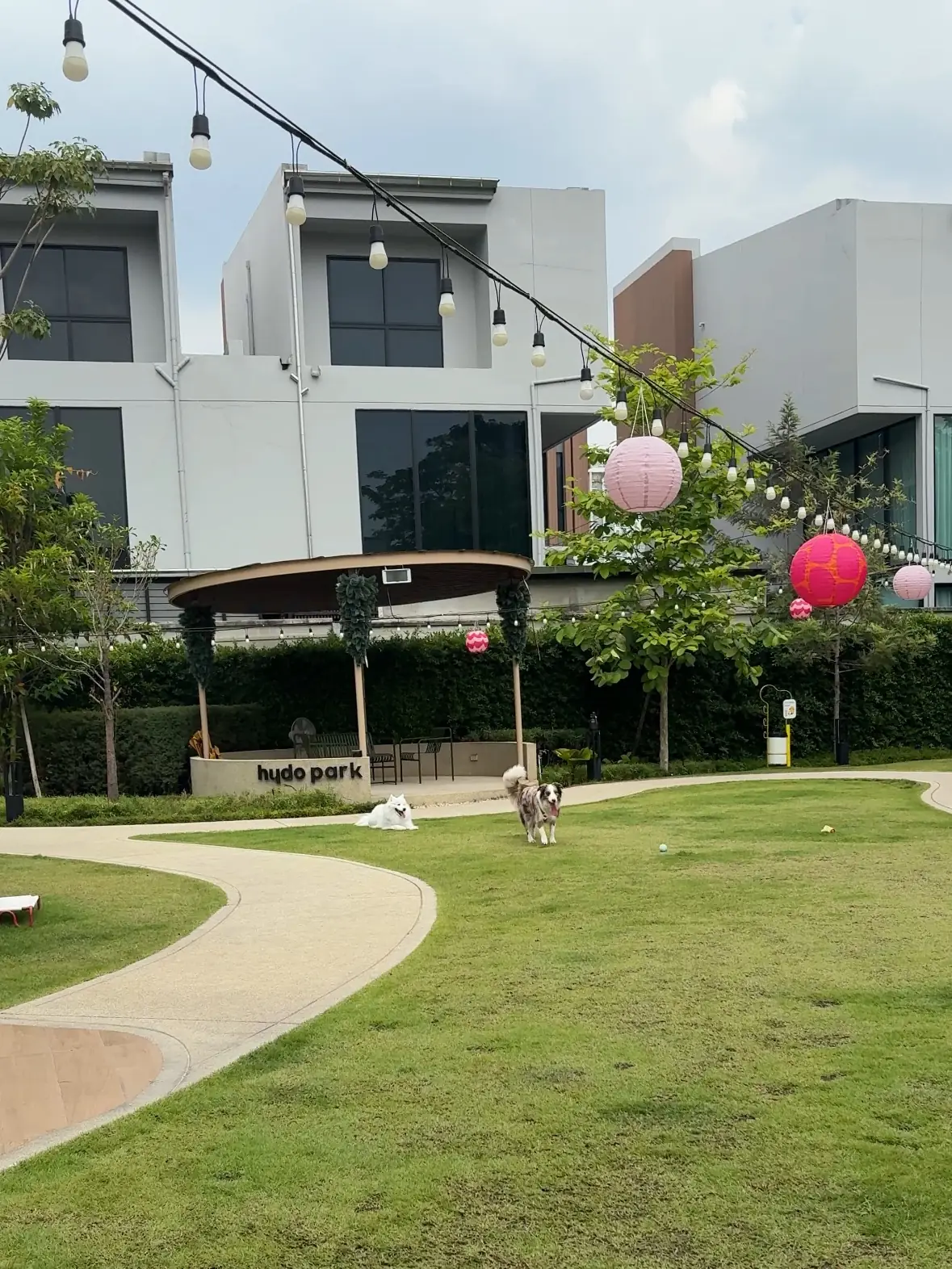 ไฮด์โดะฮับ overall image 4