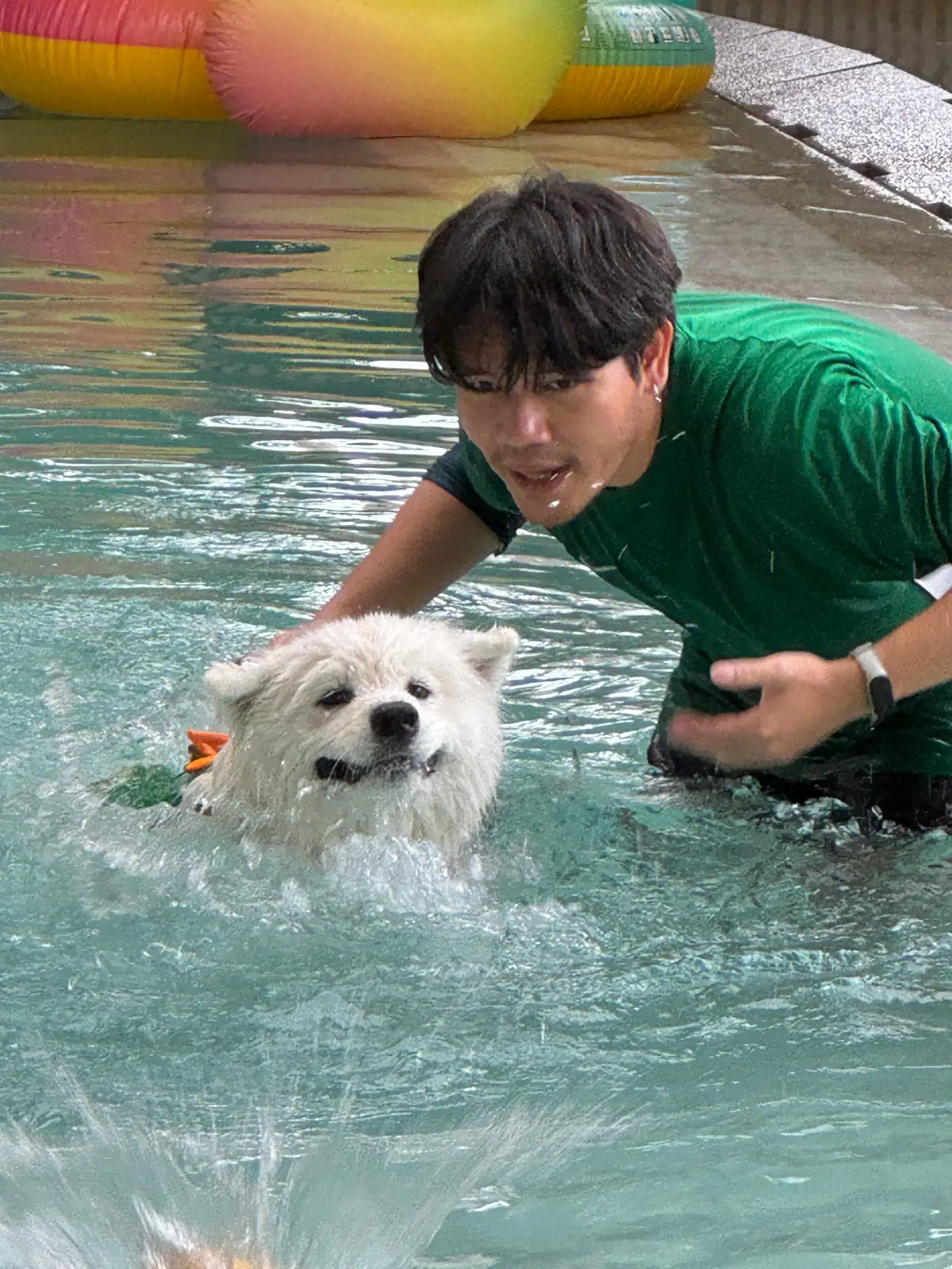 ไฮด์โดะฮับ pets image 10