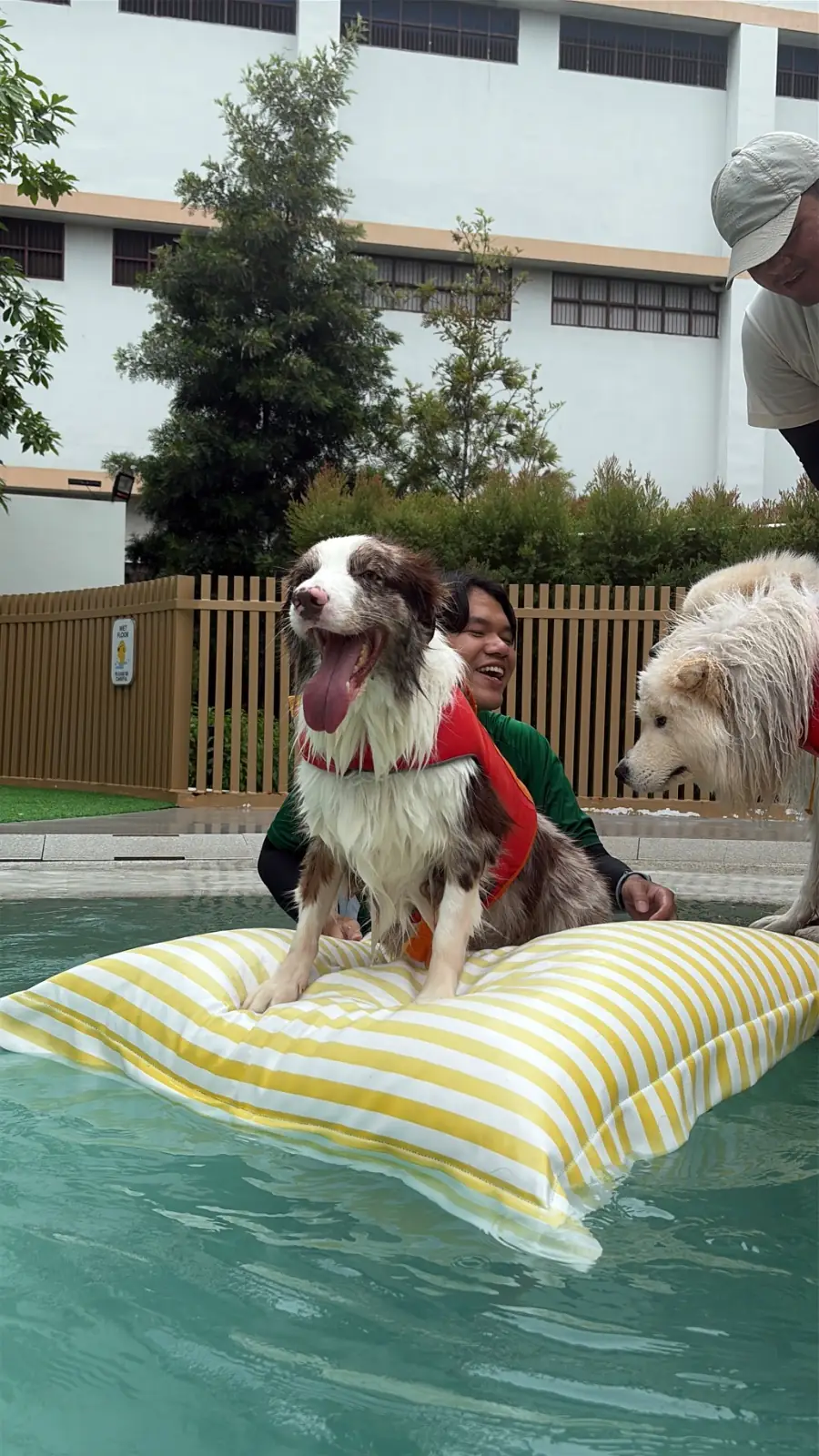 ไฮด์โดะฮับ pets image 21