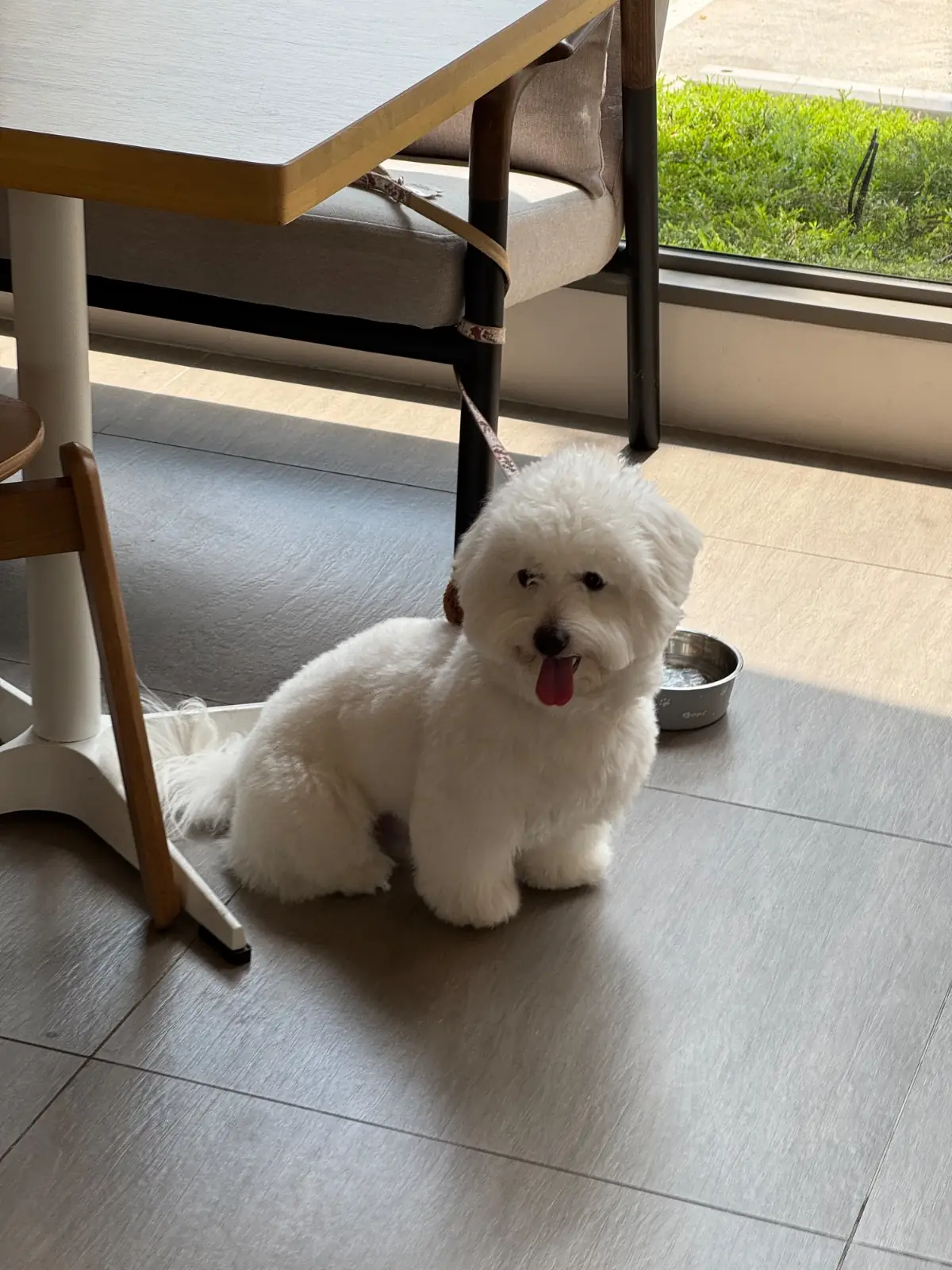 ไฮด์โดะฮับ pets image 12