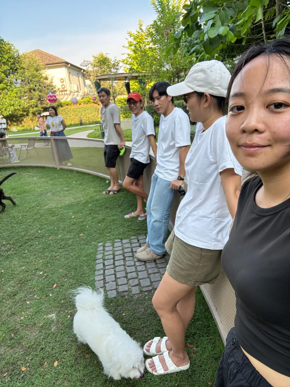 ไฮด์โดะฮับ pets image 5