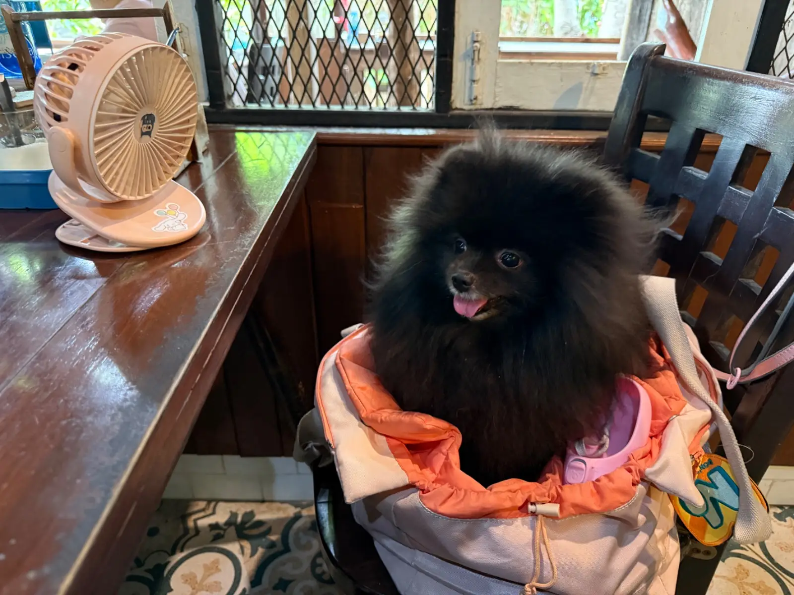 เก่ง เฮง เจริญ ก๋วยเตี๋ยวหมูต้มยำตำลึง pets image 1