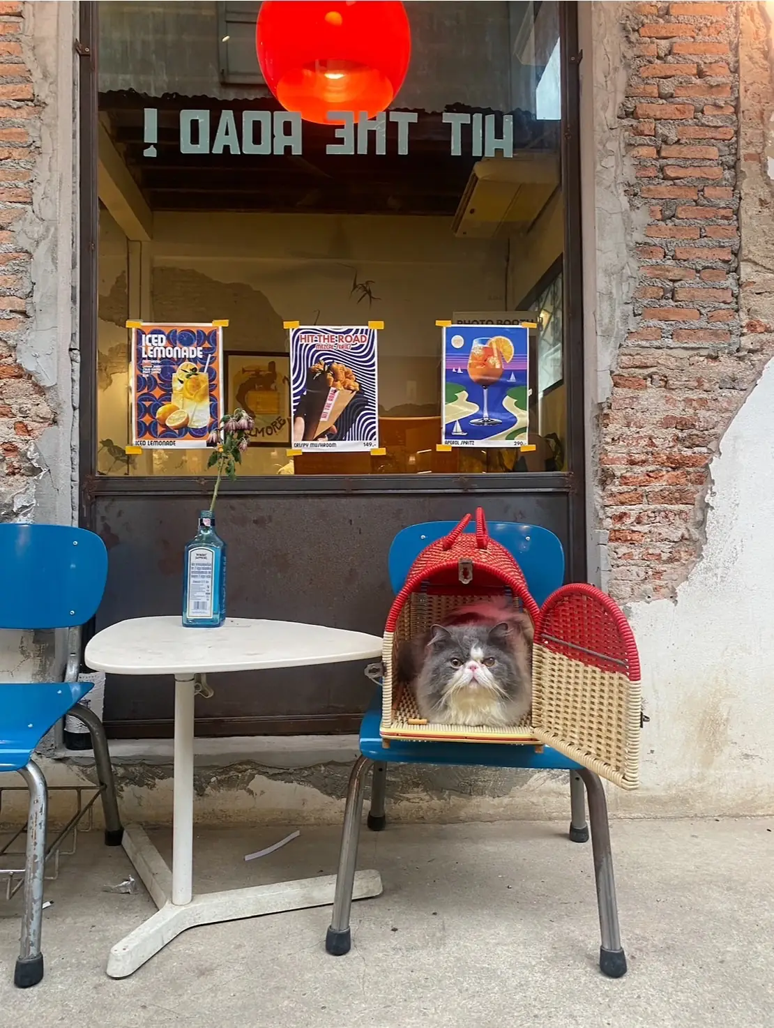 Hit the road pets image 1