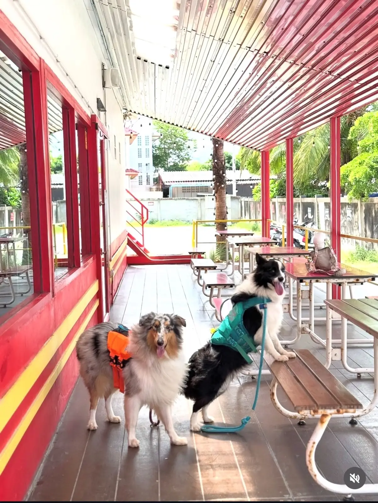 ไฮเวย์ คาเฟ่ overall image 1