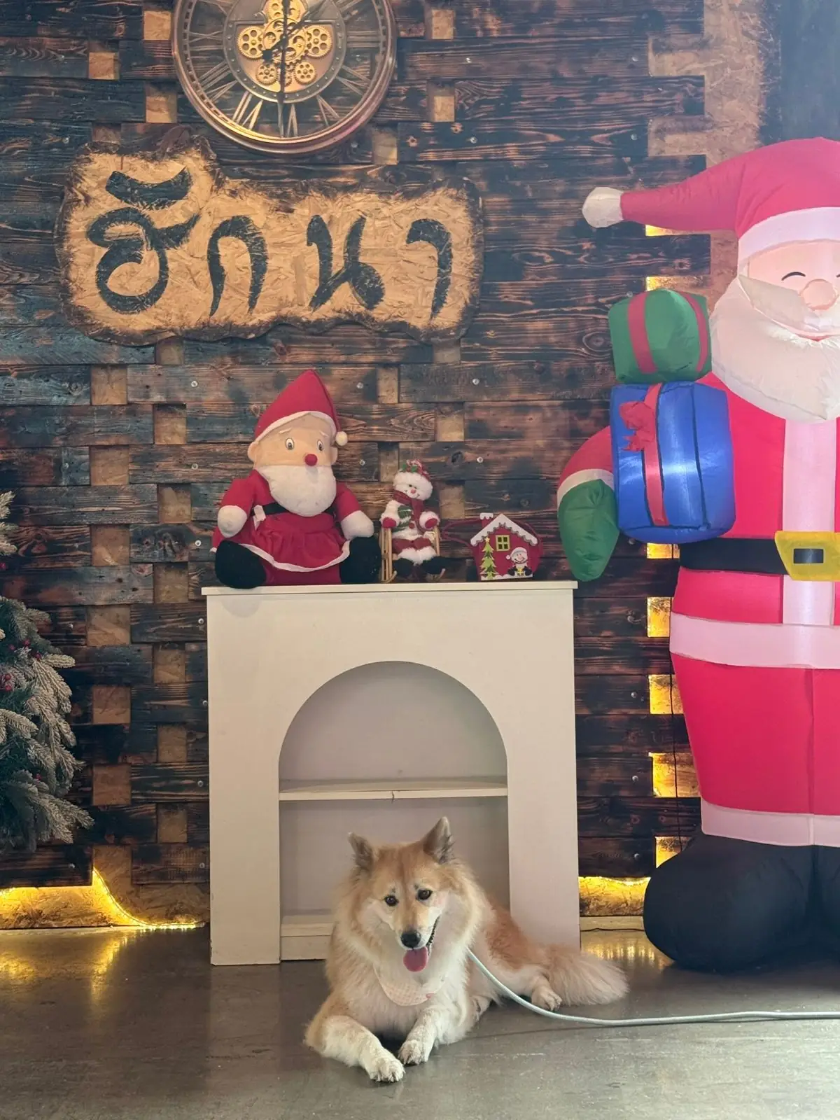 ฮักนา cafe & แซ่บนัว pets image 3