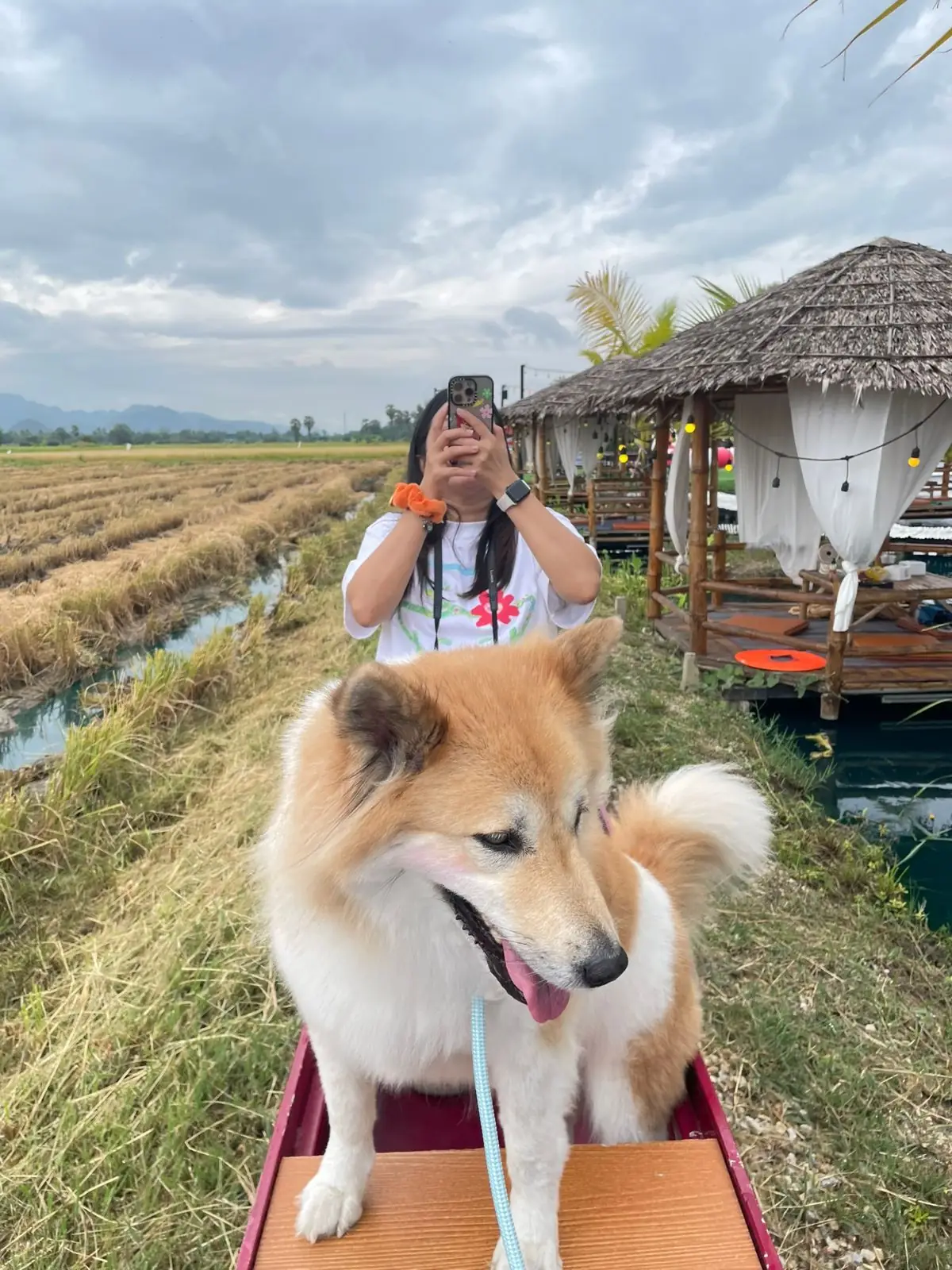 ฮักนา cafe & แซ่บนัว pets image 1