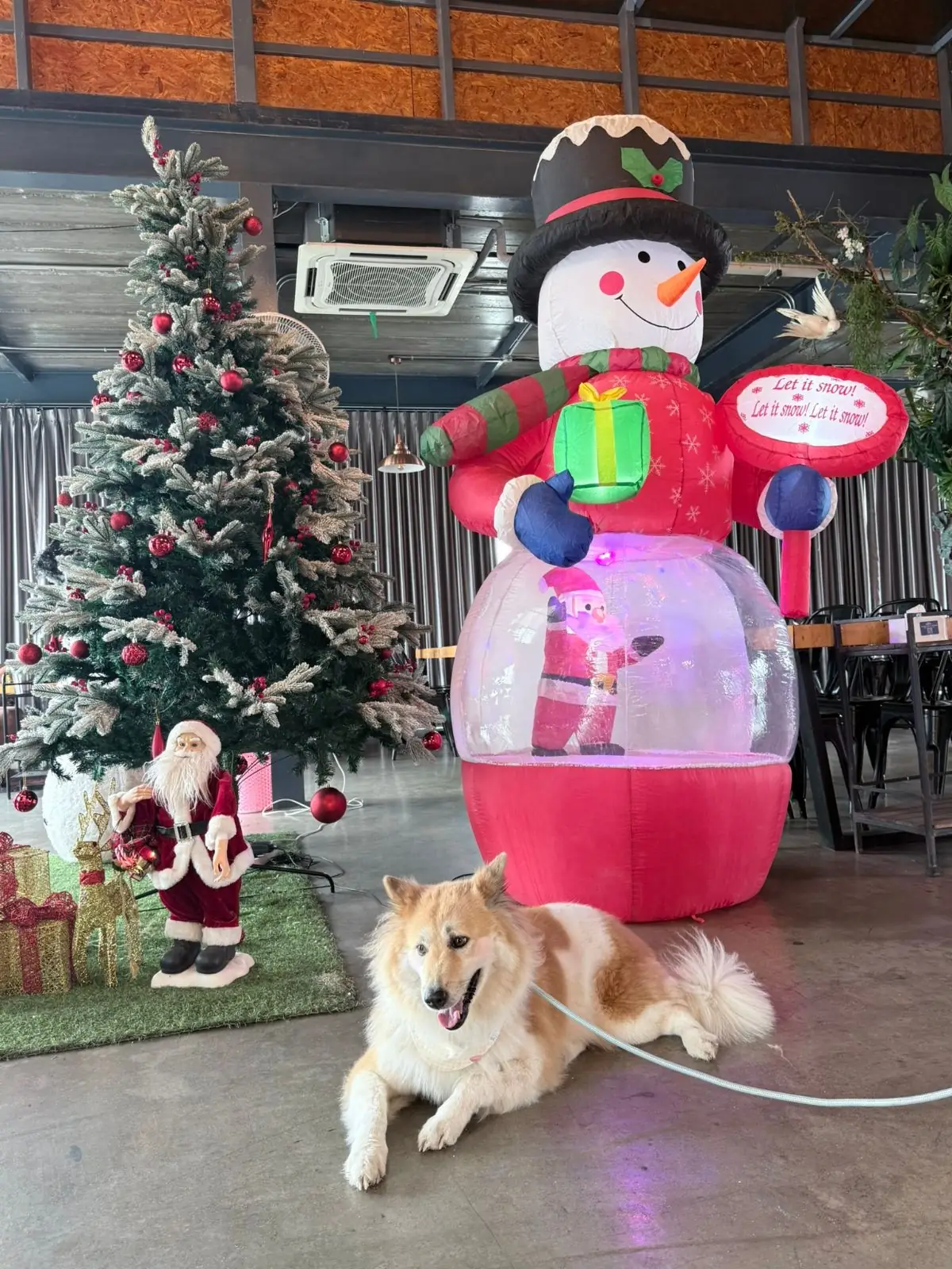 ฮักนา cafe & แซ่บนัว pets image 2