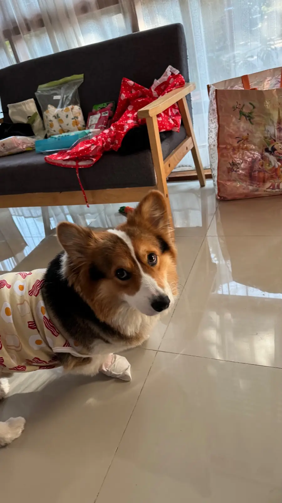 ท่ามะโอ บูทีค โฮมสเตย์ pets image 5