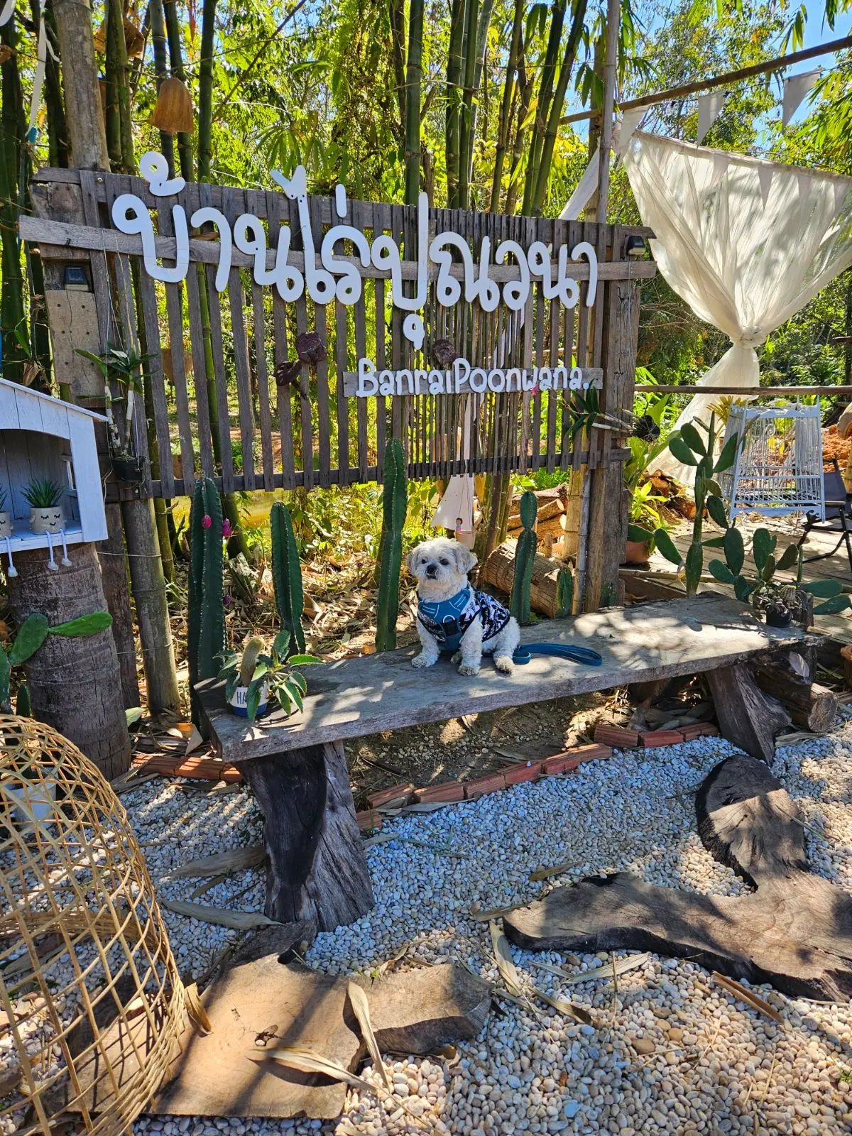 บ้านไร่ปุณวนา pets image 1