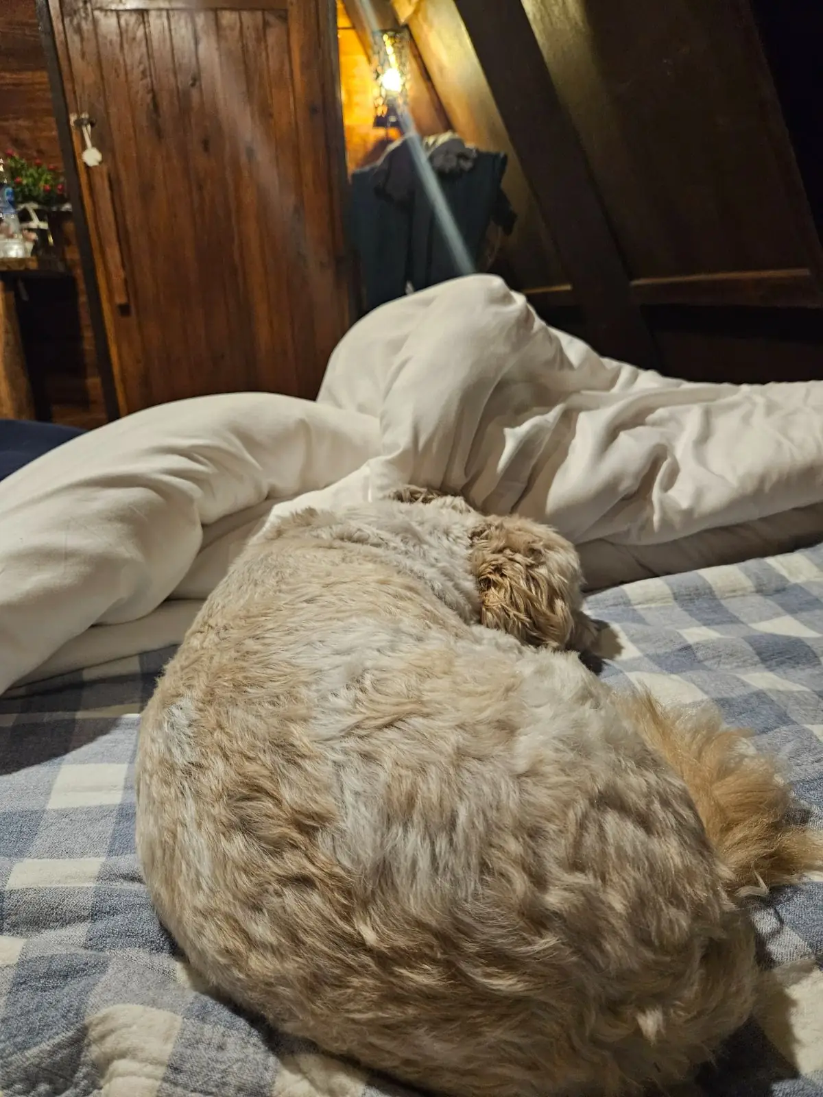 บ้านไร่ปุณวนา rooms image 1