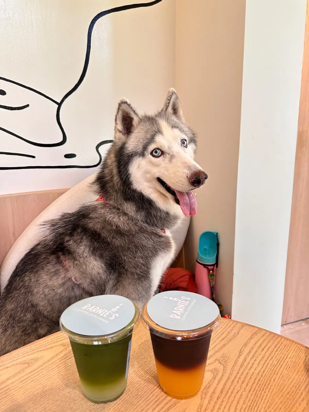 BARNIE'S pets image 4