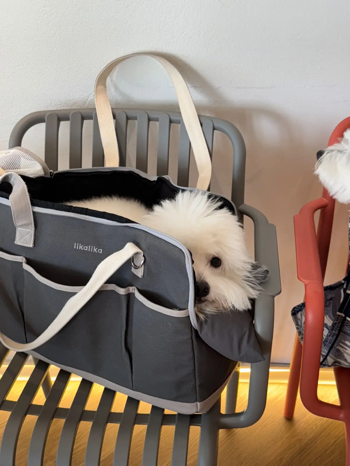 Velo Cafe - Cha Am pets image 2