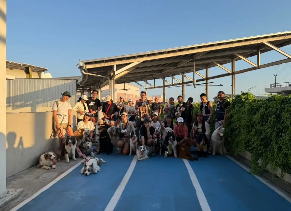 Central Eastville pets image 1