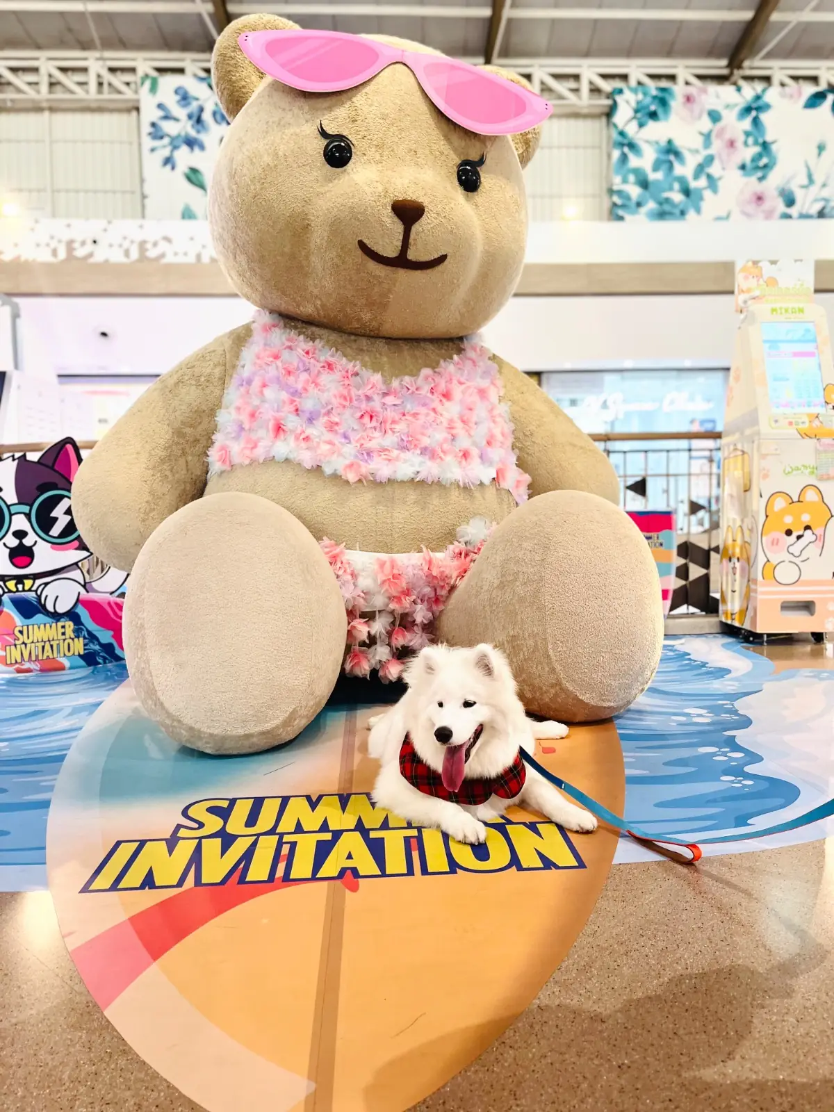 Central Eastville pets image 4