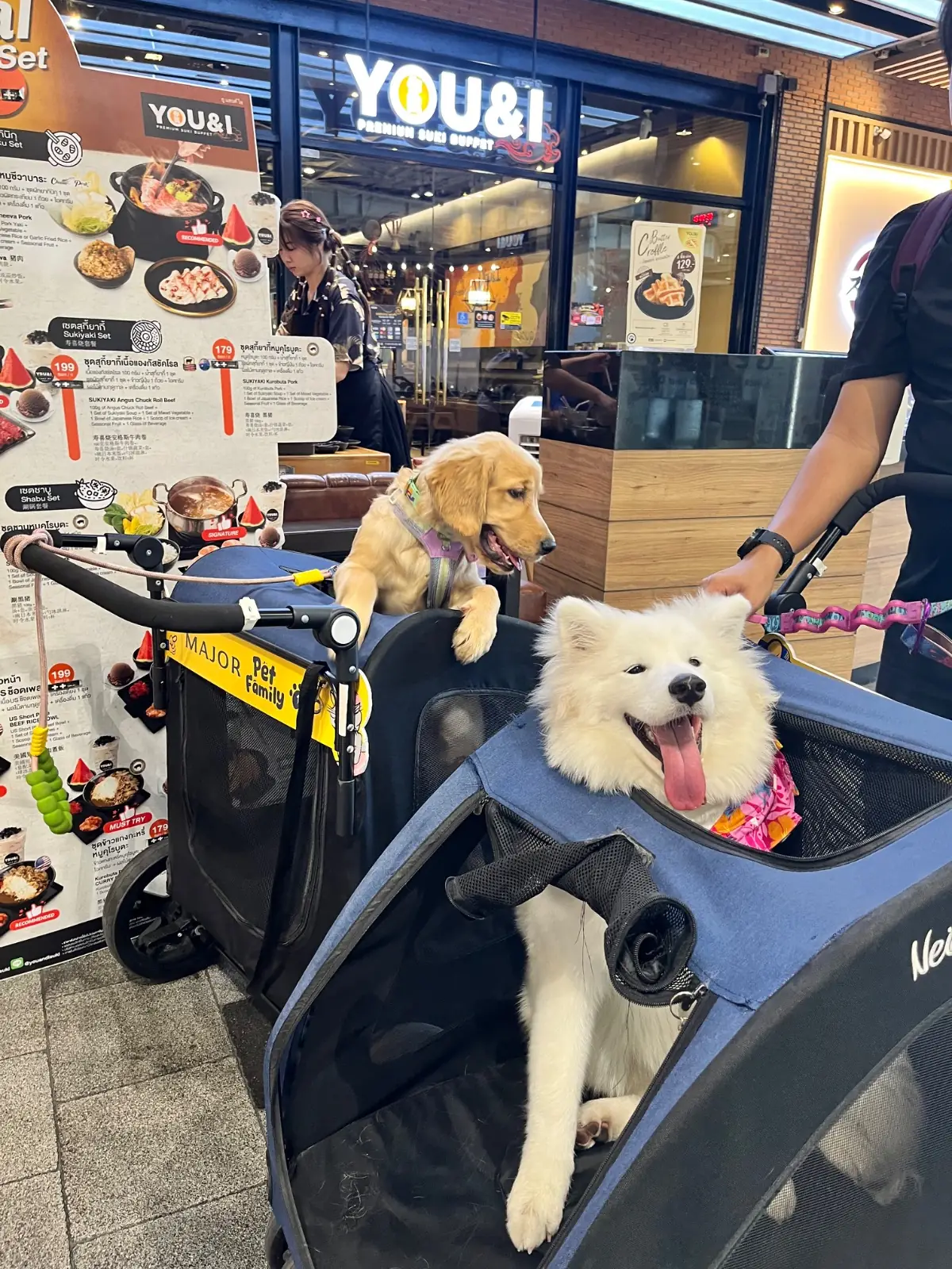 Central Eastville pets image 3