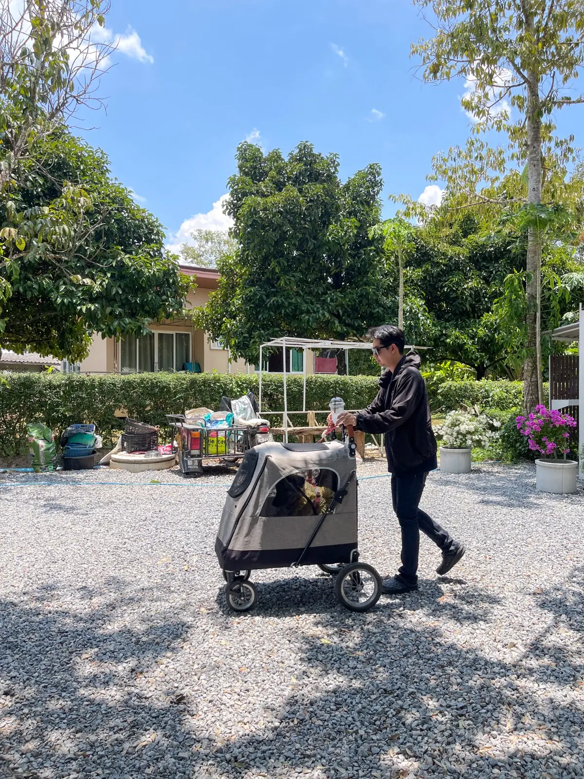หนมจีนบ้านสวนพอเพียงผักเพียงดิน - ช้างกลาง pets image 1