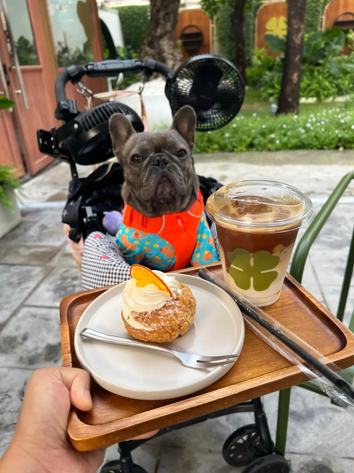 Glig Cafe pets image 1