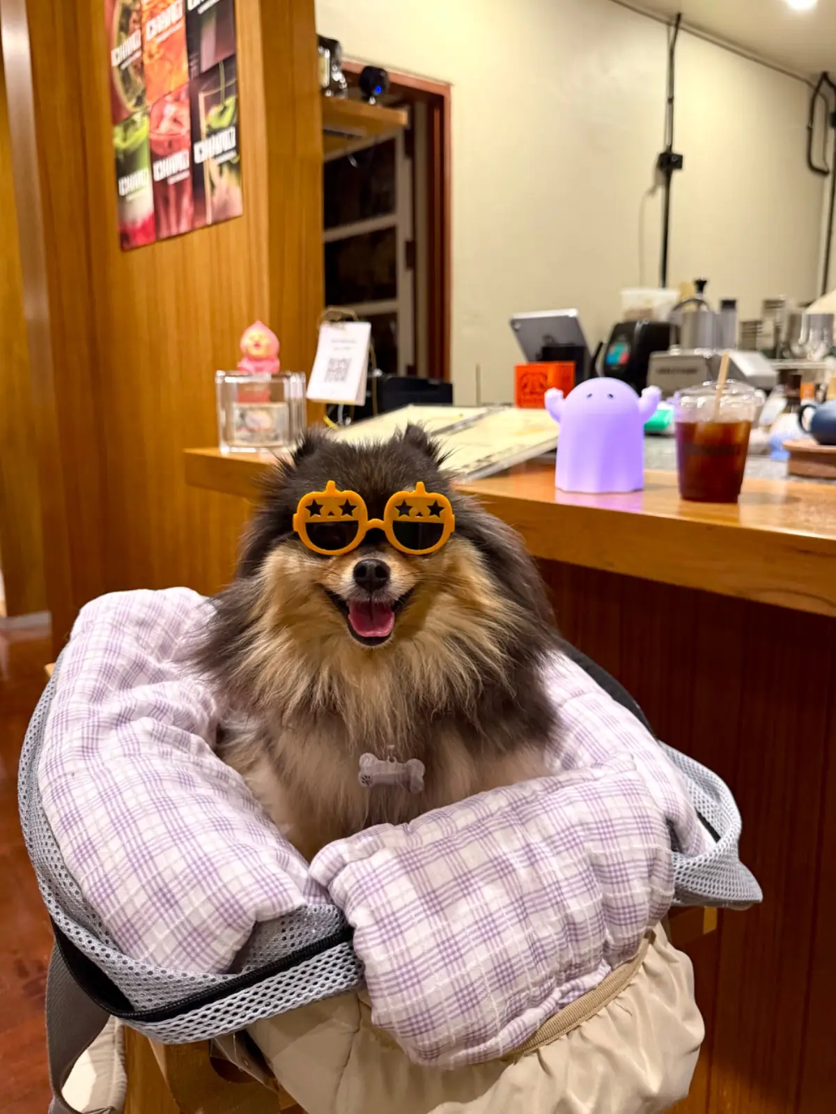 CHAMO - Tea Salon pets image 1