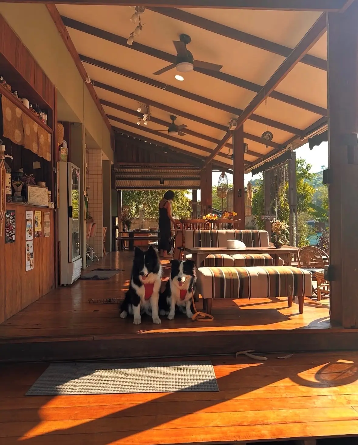 Ashi Cafe pets image 2