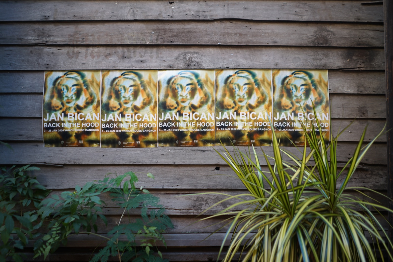 Vanich House overall image 3