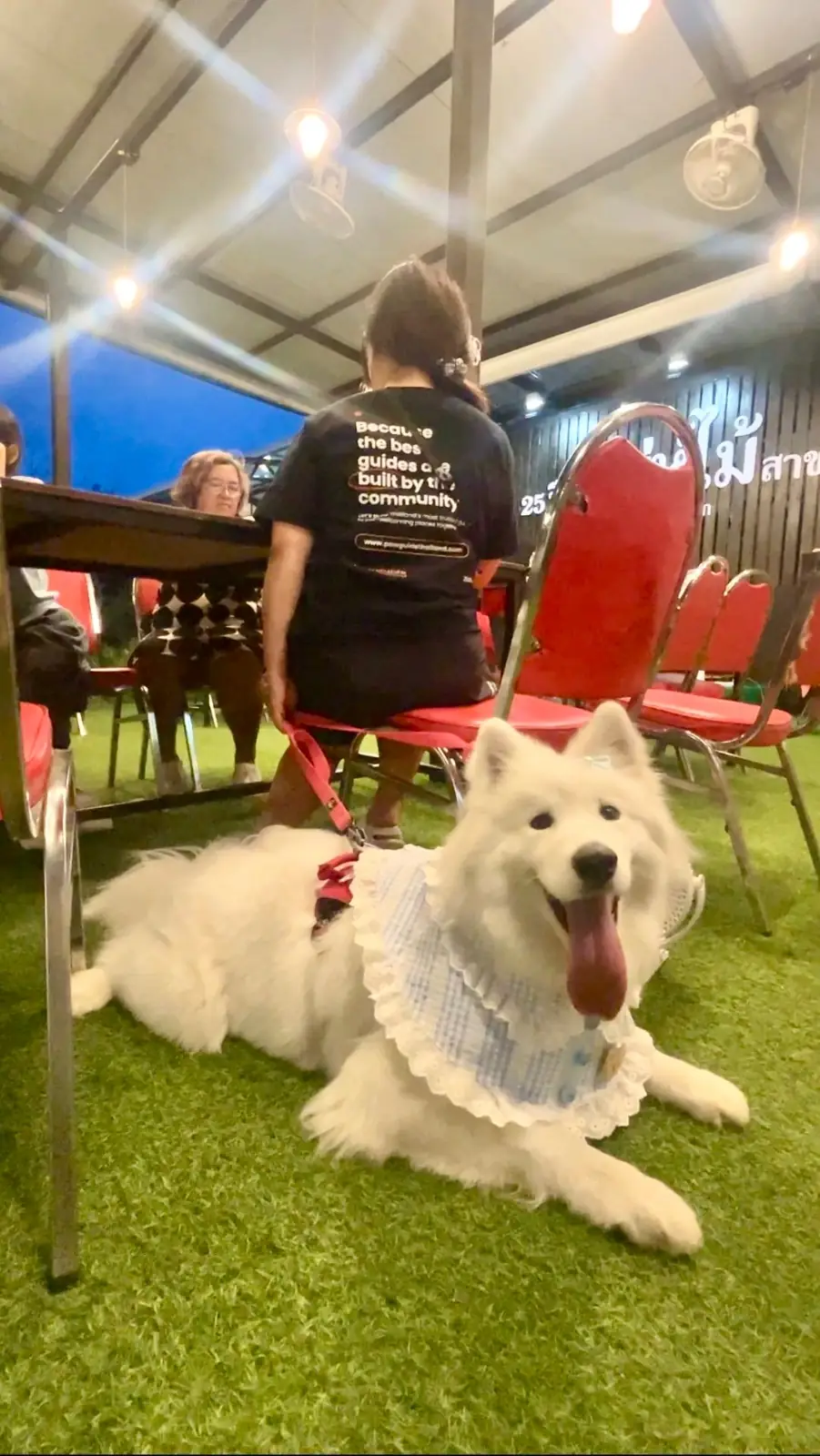 เสน่ห์ไม้ pets image 2