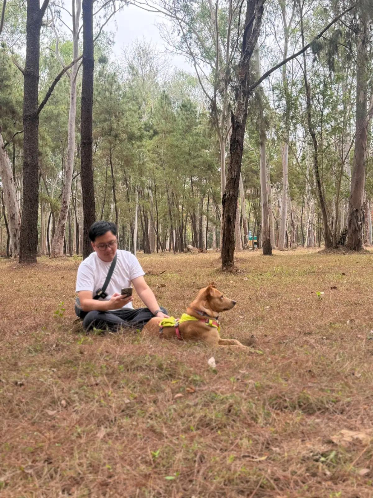 สวนสนแม่แตง pets image 3