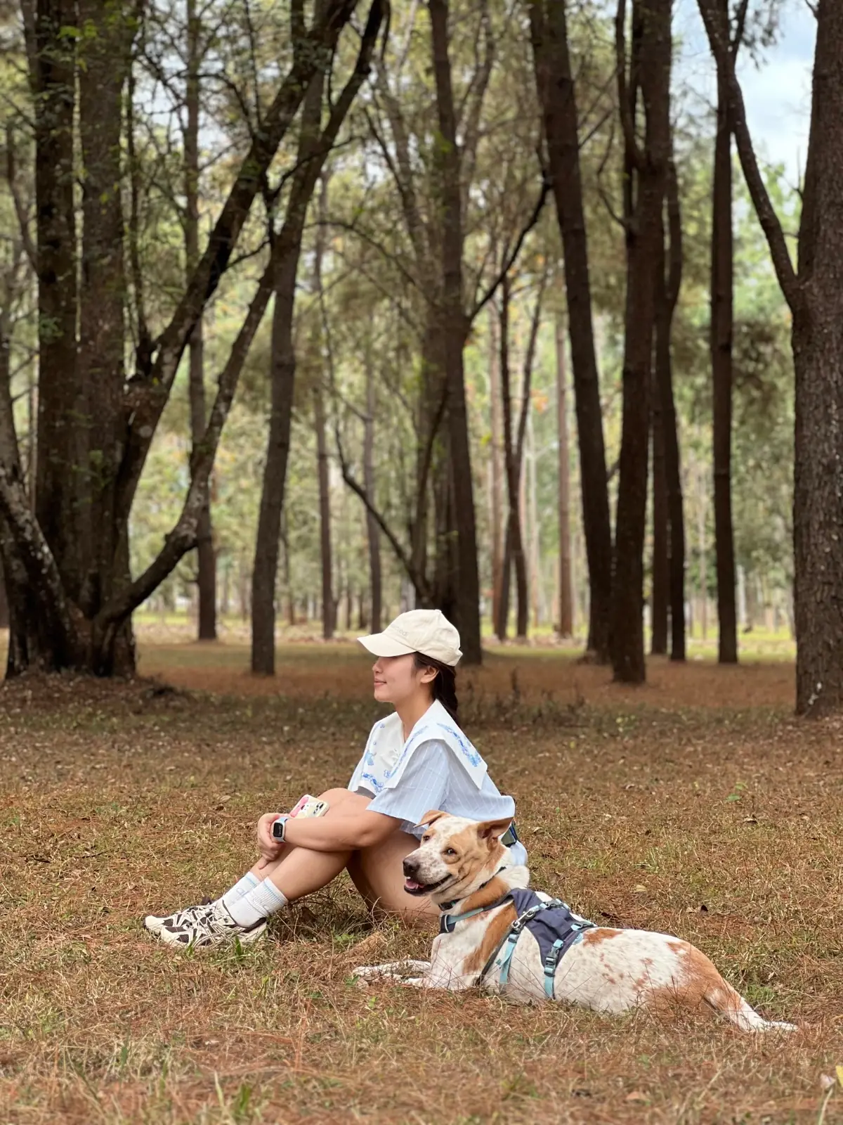 สวนสนแม่แตง pets image 1