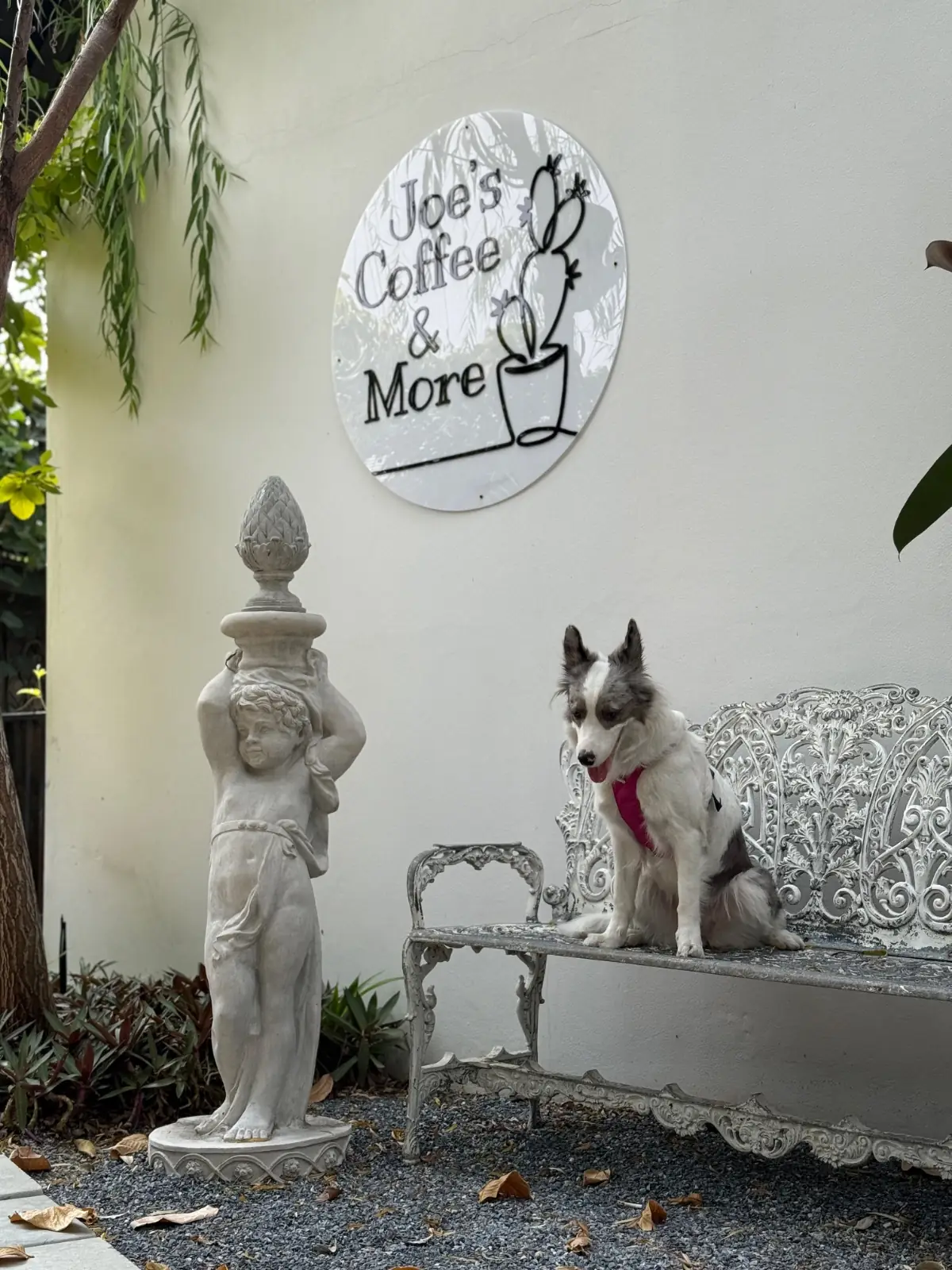Joe's Coffee & More overall image 1