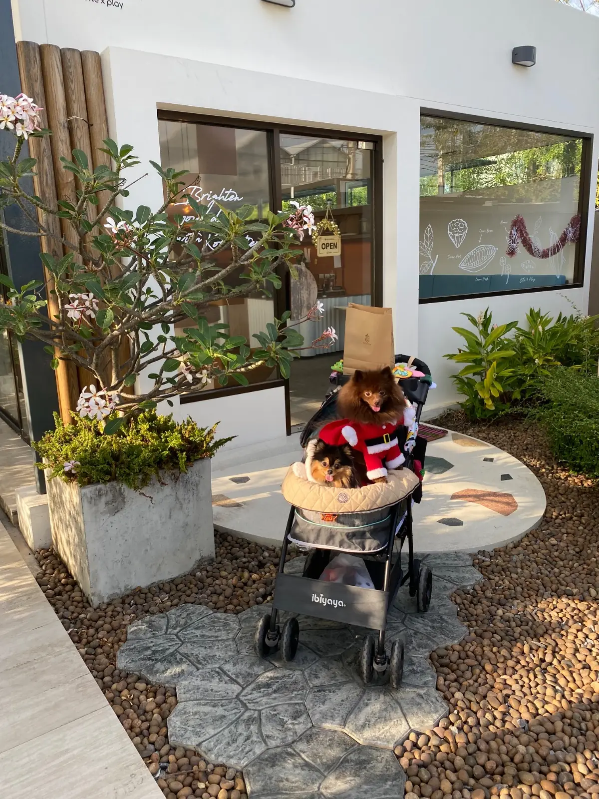 KOKOLATIER pets image 3