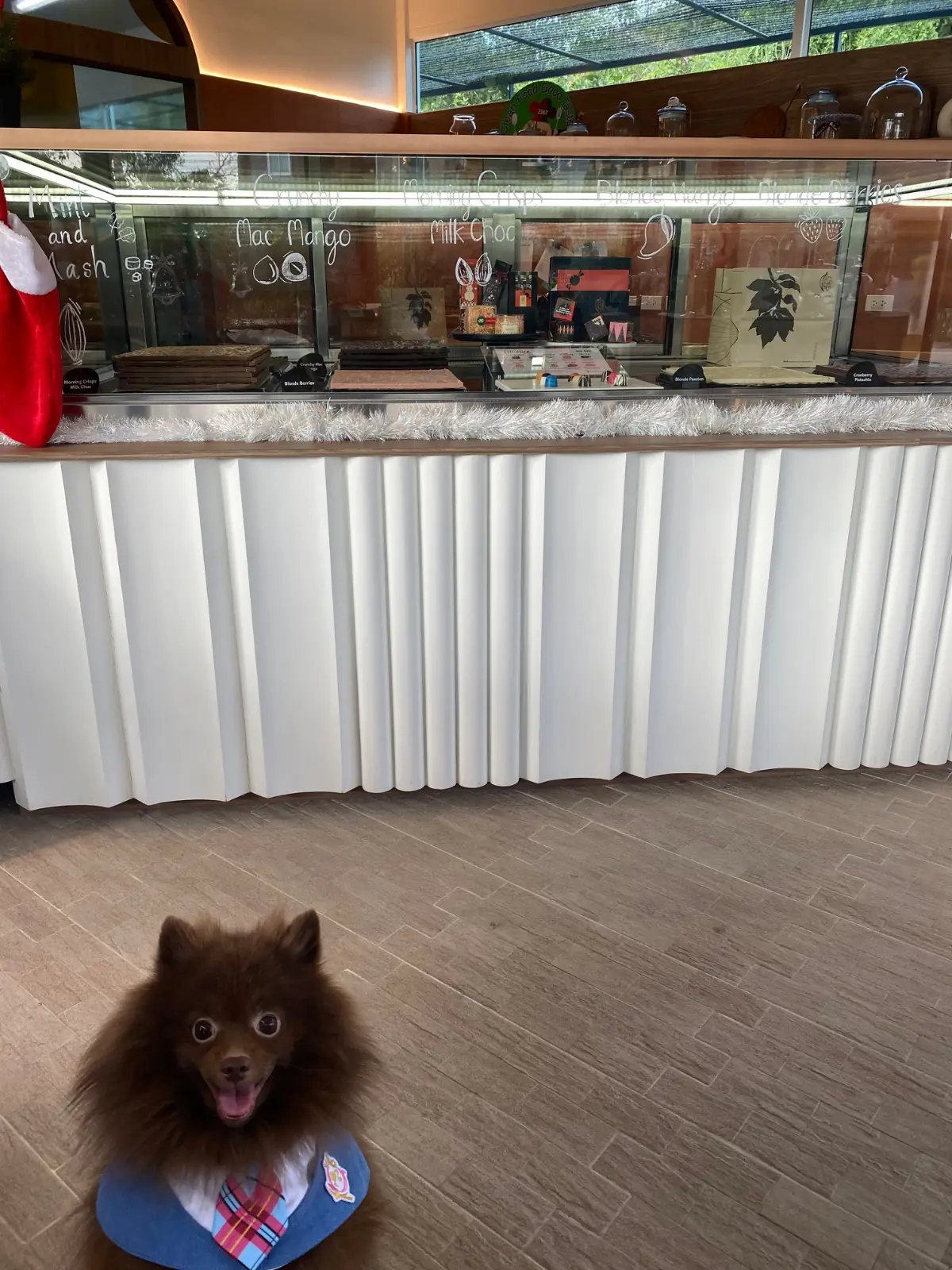 KOKOLATIER hero image 2