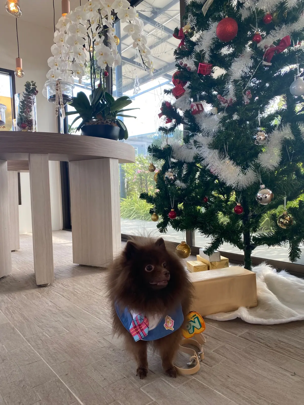 KOKOLATIER other image 1