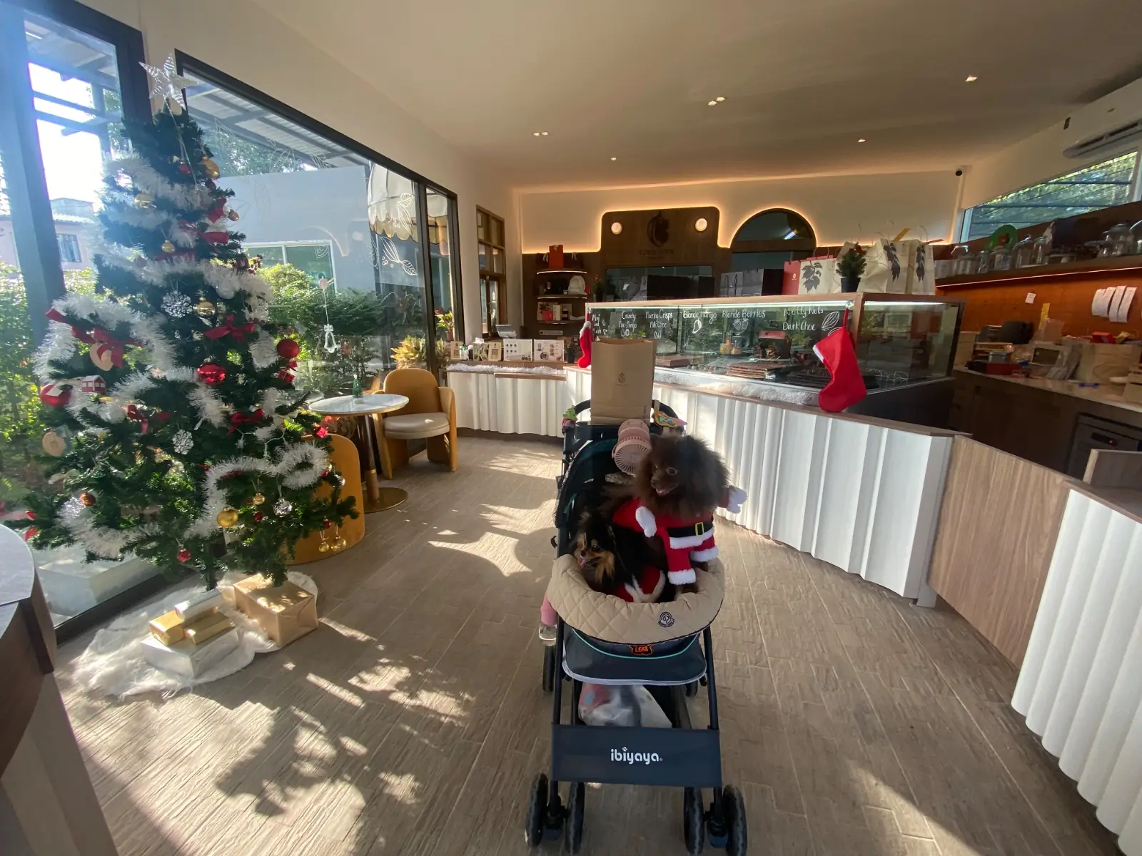 KOKOLATIER pets image 2