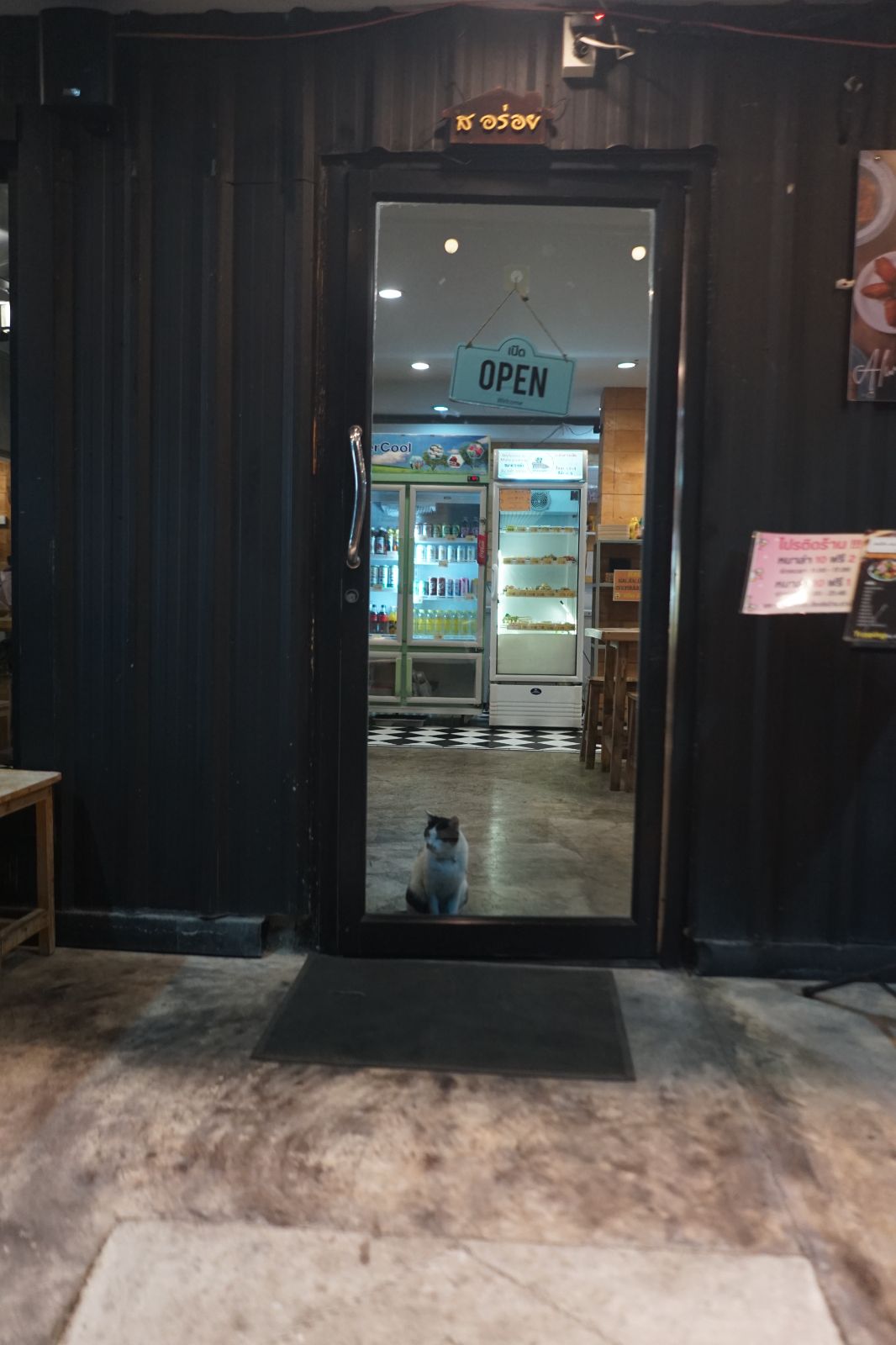 สเต็ก ส.อร่อย pets image 1